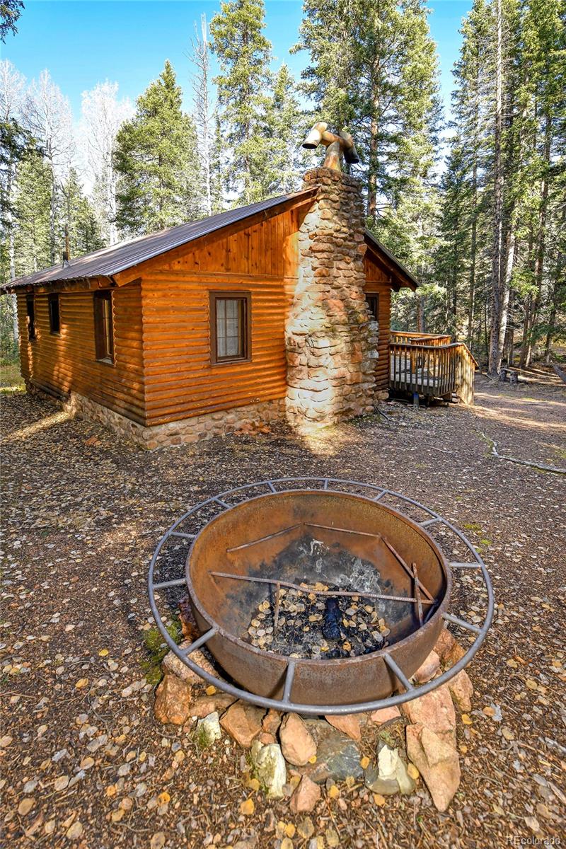 MLS Image #1 for 104  usfs ,divide, Colorado