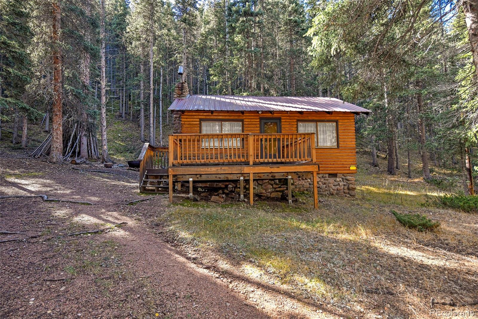 MLS Image #14 for 104  usfs ,divide, Colorado