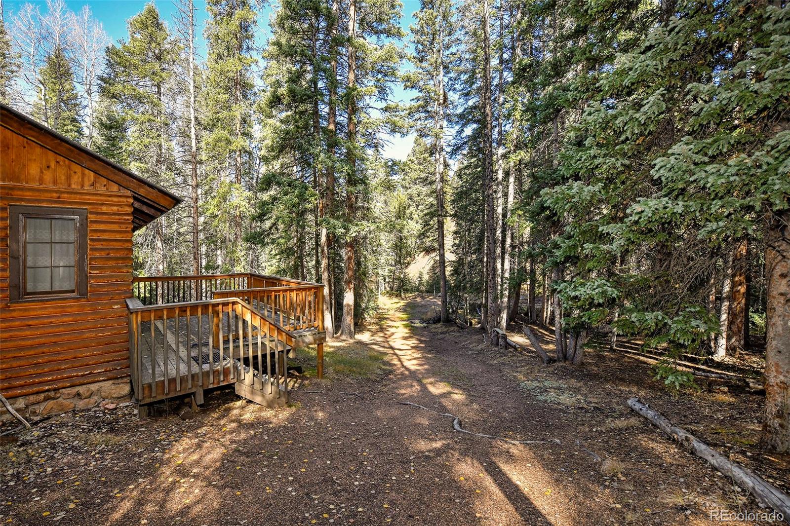 MLS Image #15 for 104  usfs ,divide, Colorado