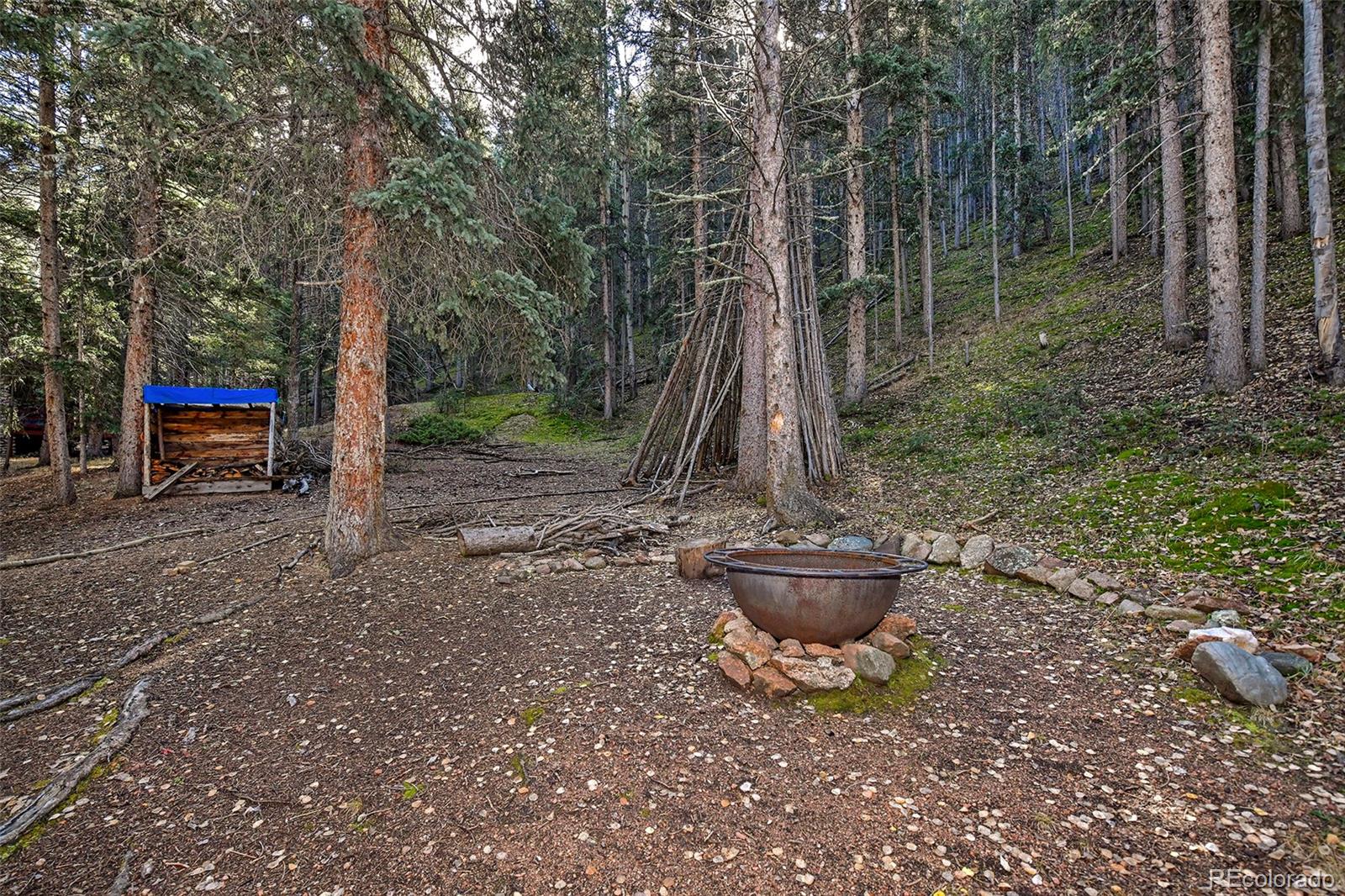 MLS Image #16 for 104  usfs ,divide, Colorado