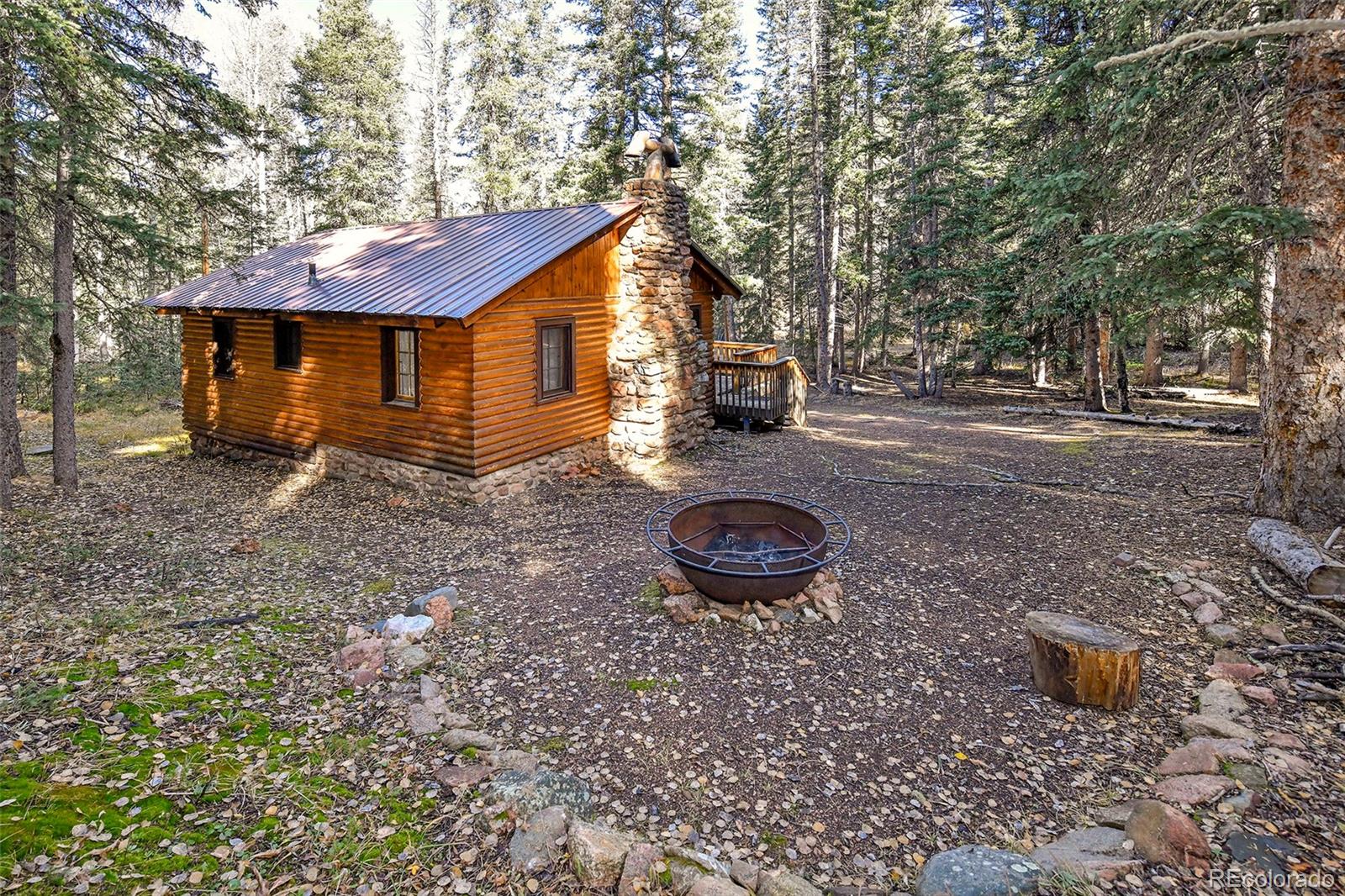 MLS Image #17 for 104  usfs ,divide, Colorado