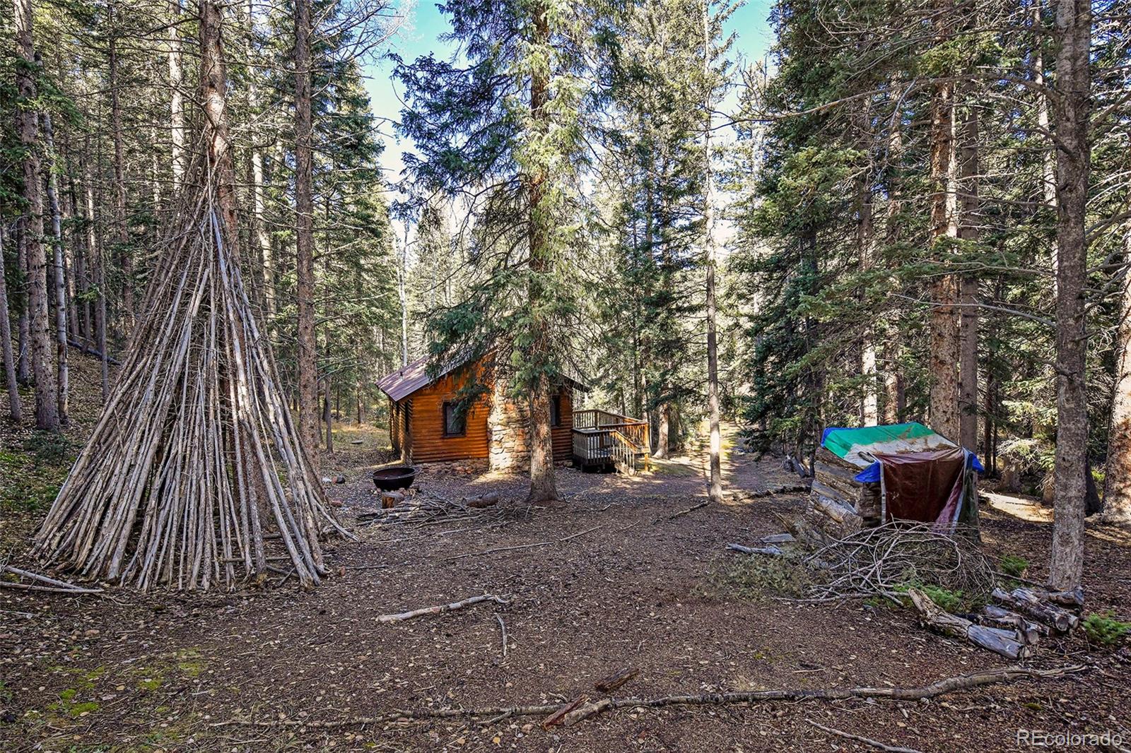 MLS Image #19 for 104  usfs ,divide, Colorado