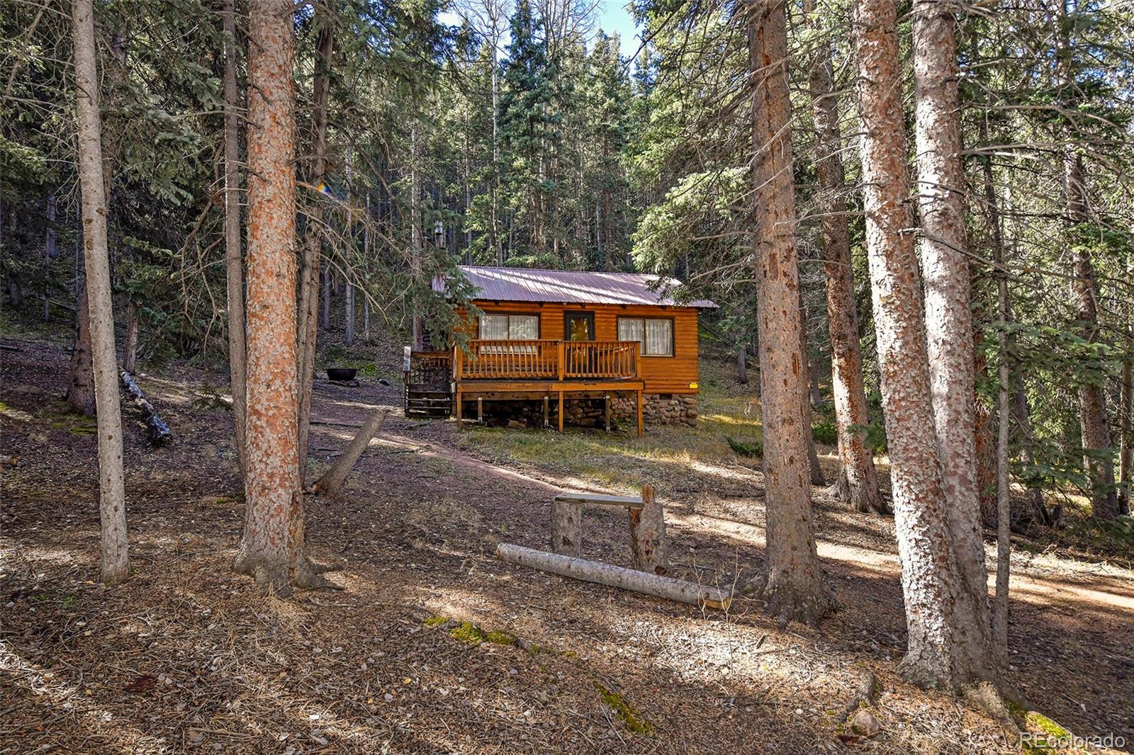 MLS Image #2 for 104  usfs ,divide, Colorado