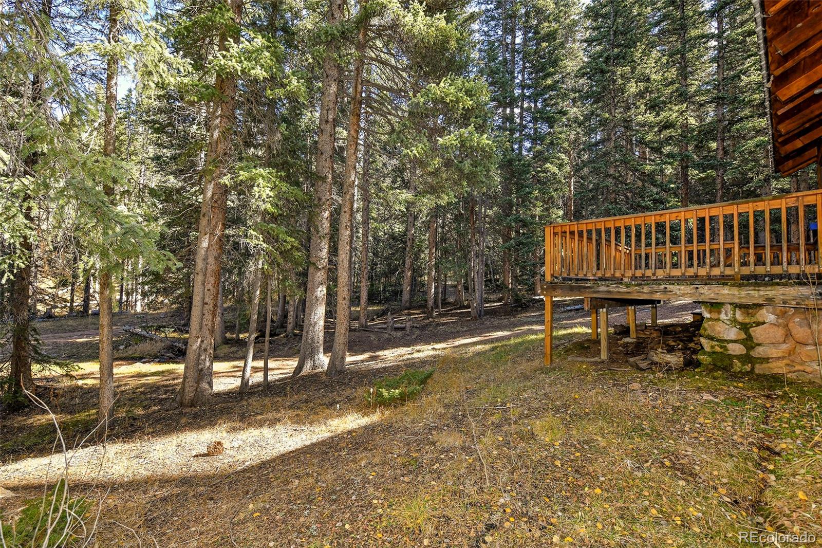MLS Image #20 for 104  usfs ,divide, Colorado