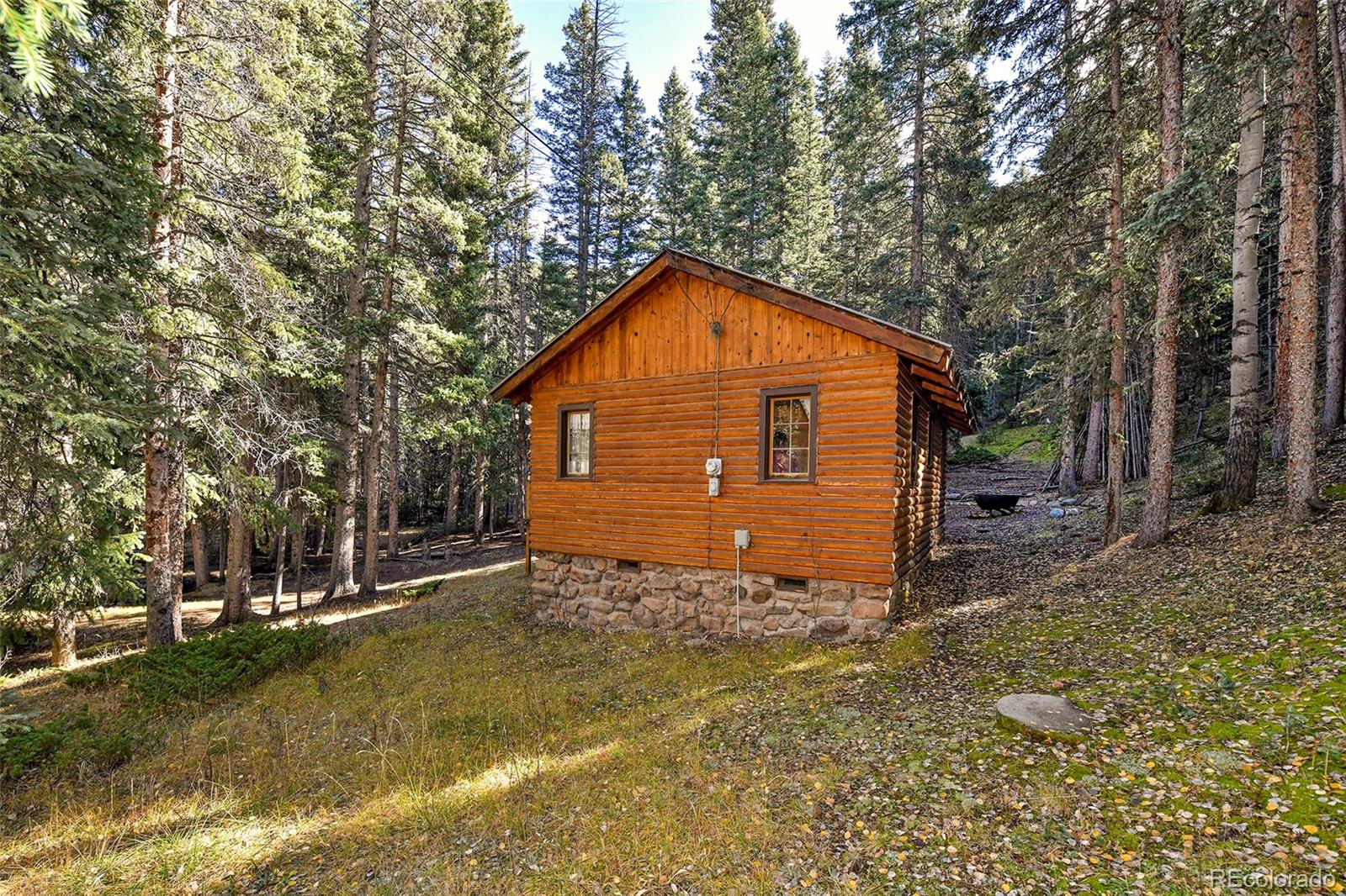 MLS Image #21 for 104  usfs ,divide, Colorado