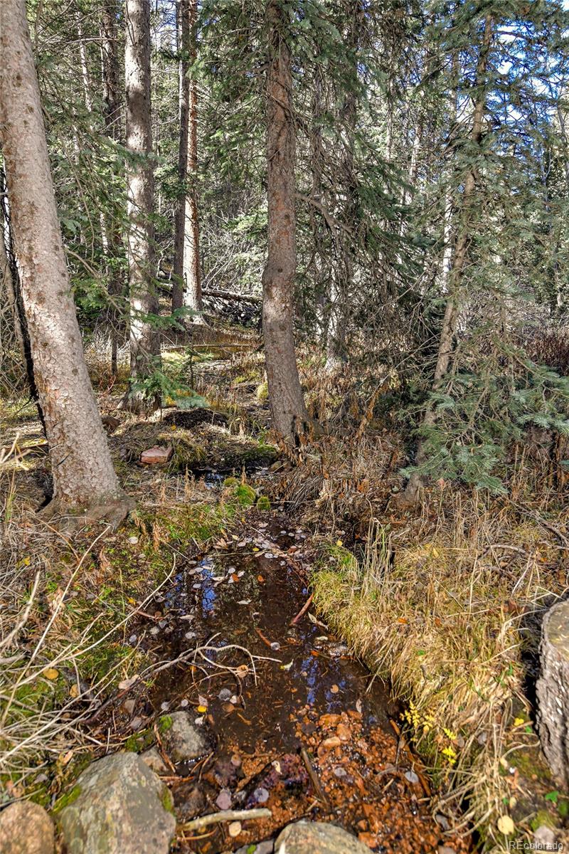 MLS Image #22 for 104  usfs ,divide, Colorado