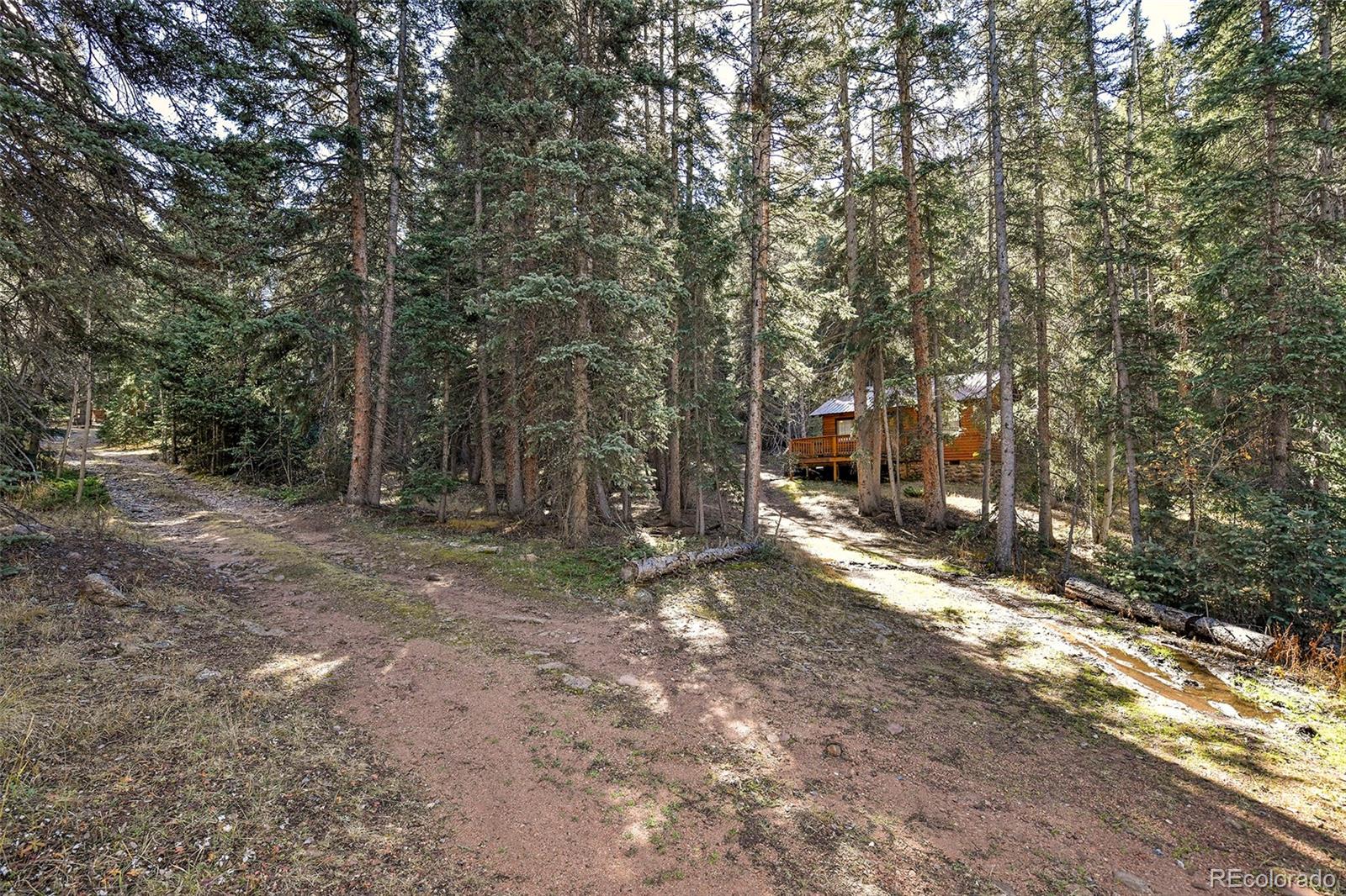 MLS Image #23 for 104  usfs ,divide, Colorado