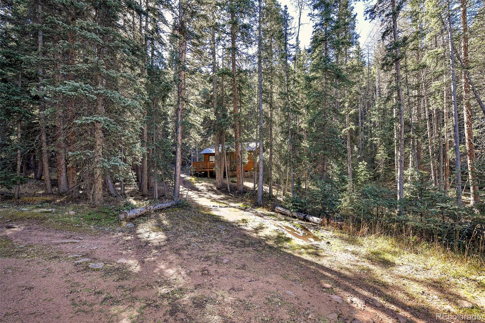 MLS Image #24 for 104  usfs ,divide, Colorado