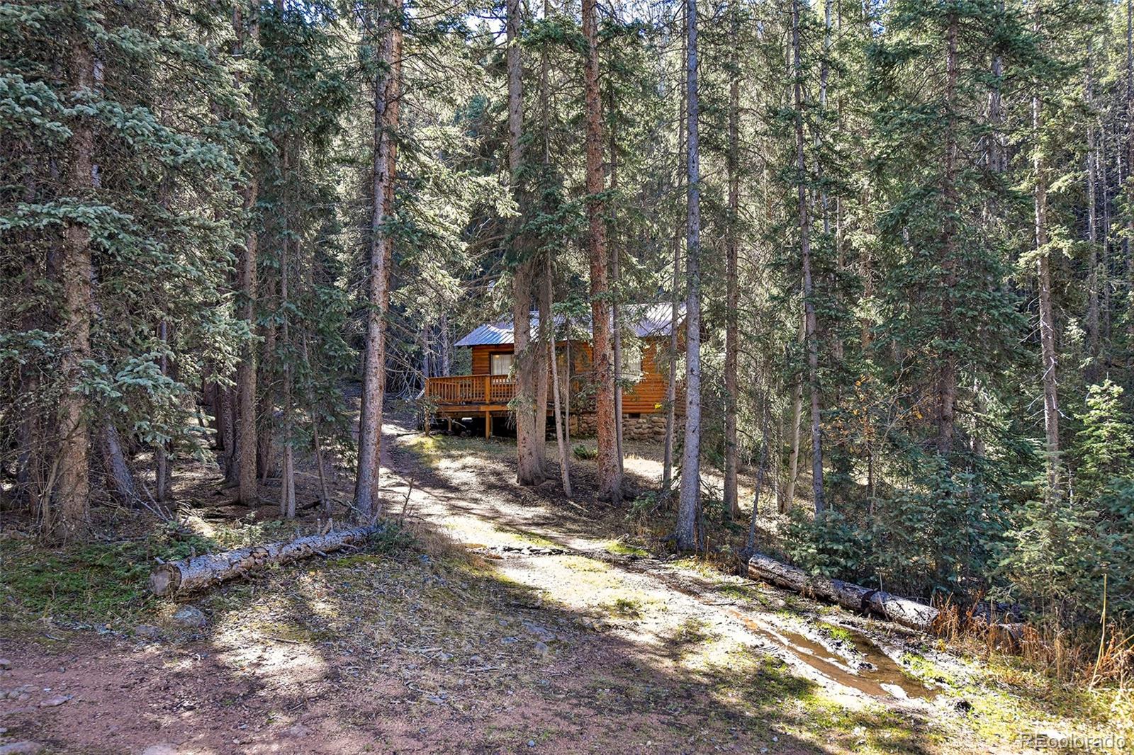 MLS Image #25 for 104  usfs ,divide, Colorado
