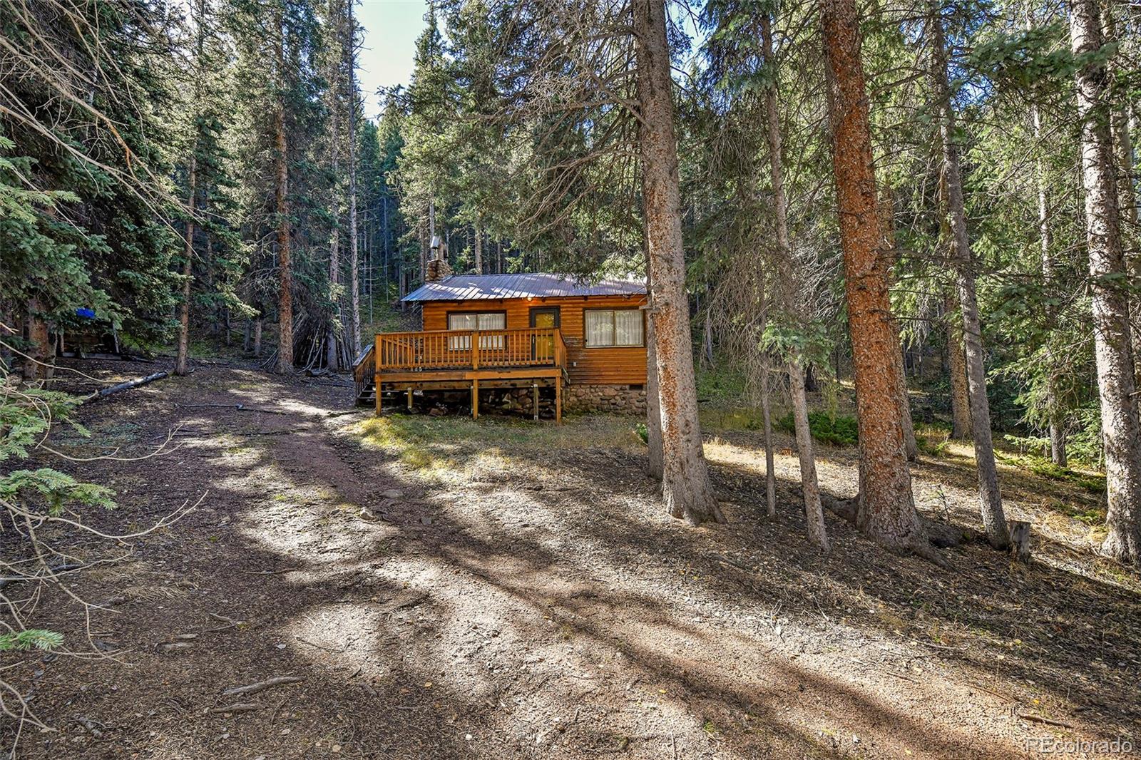 MLS Image #26 for 104  usfs ,divide, Colorado