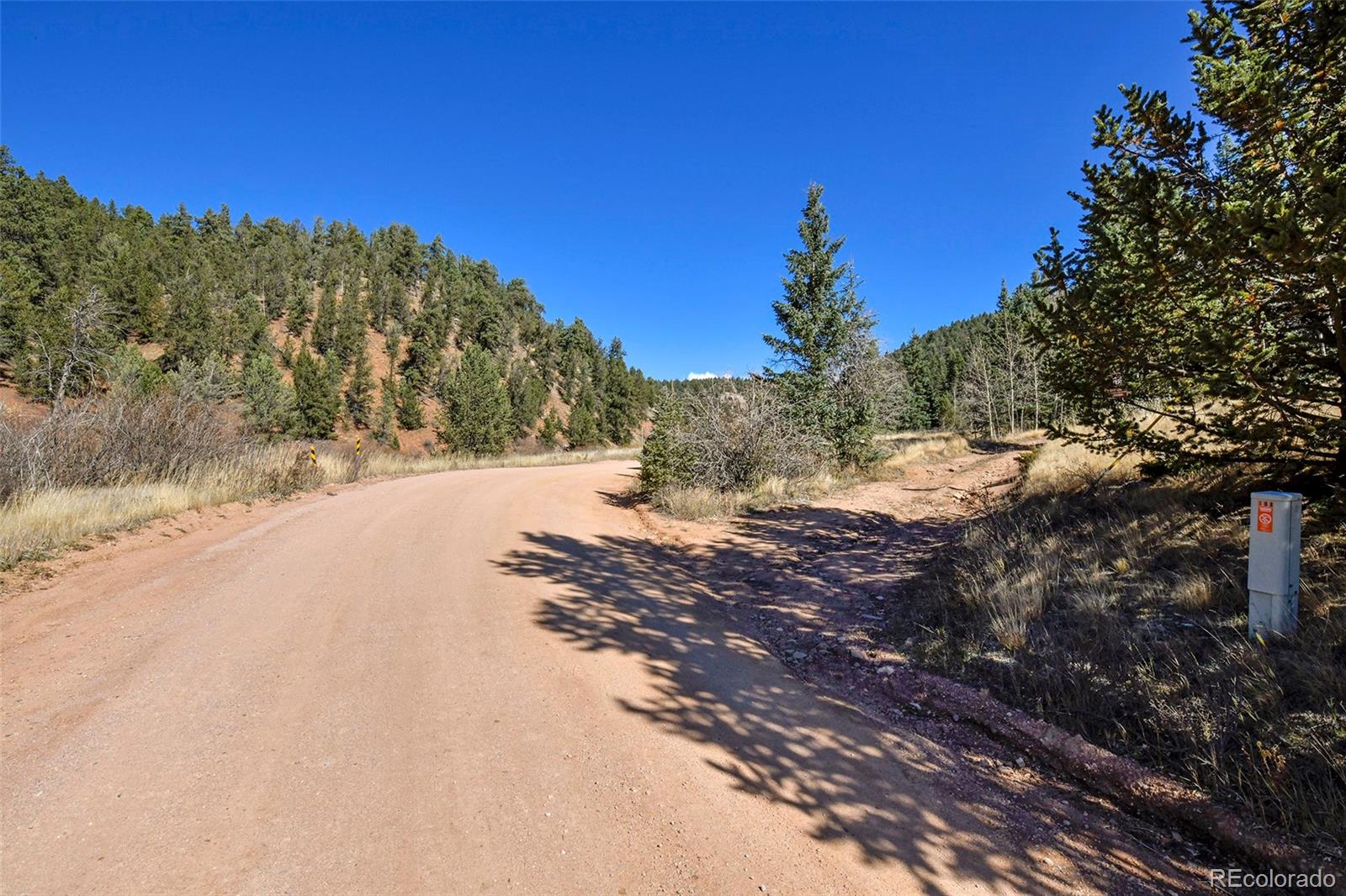 MLS Image #27 for 104  usfs ,divide, Colorado