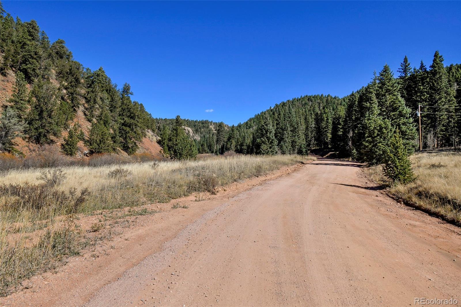MLS Image #28 for 104  usfs ,divide, Colorado