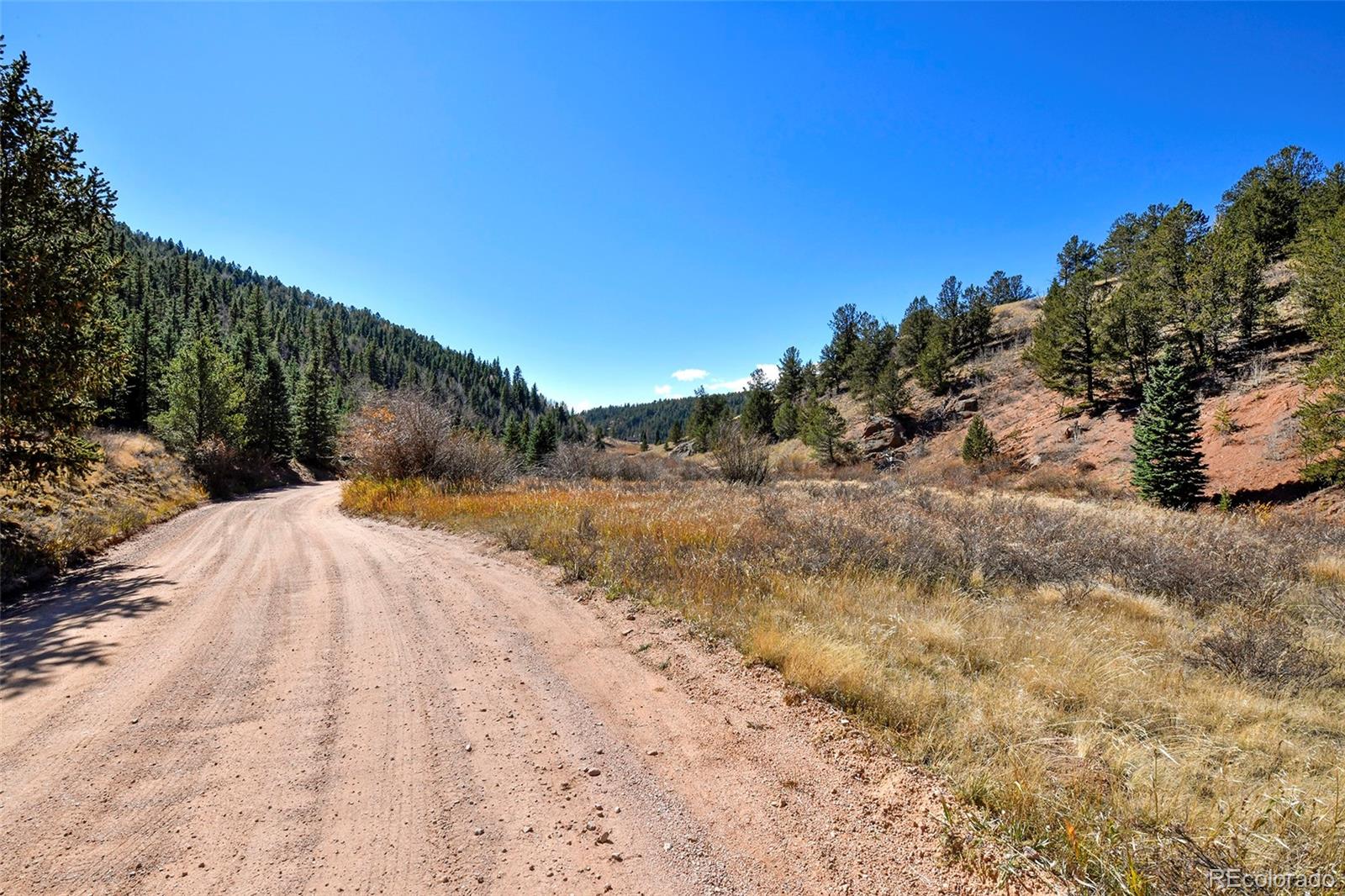 MLS Image #29 for 104  usfs ,divide, Colorado