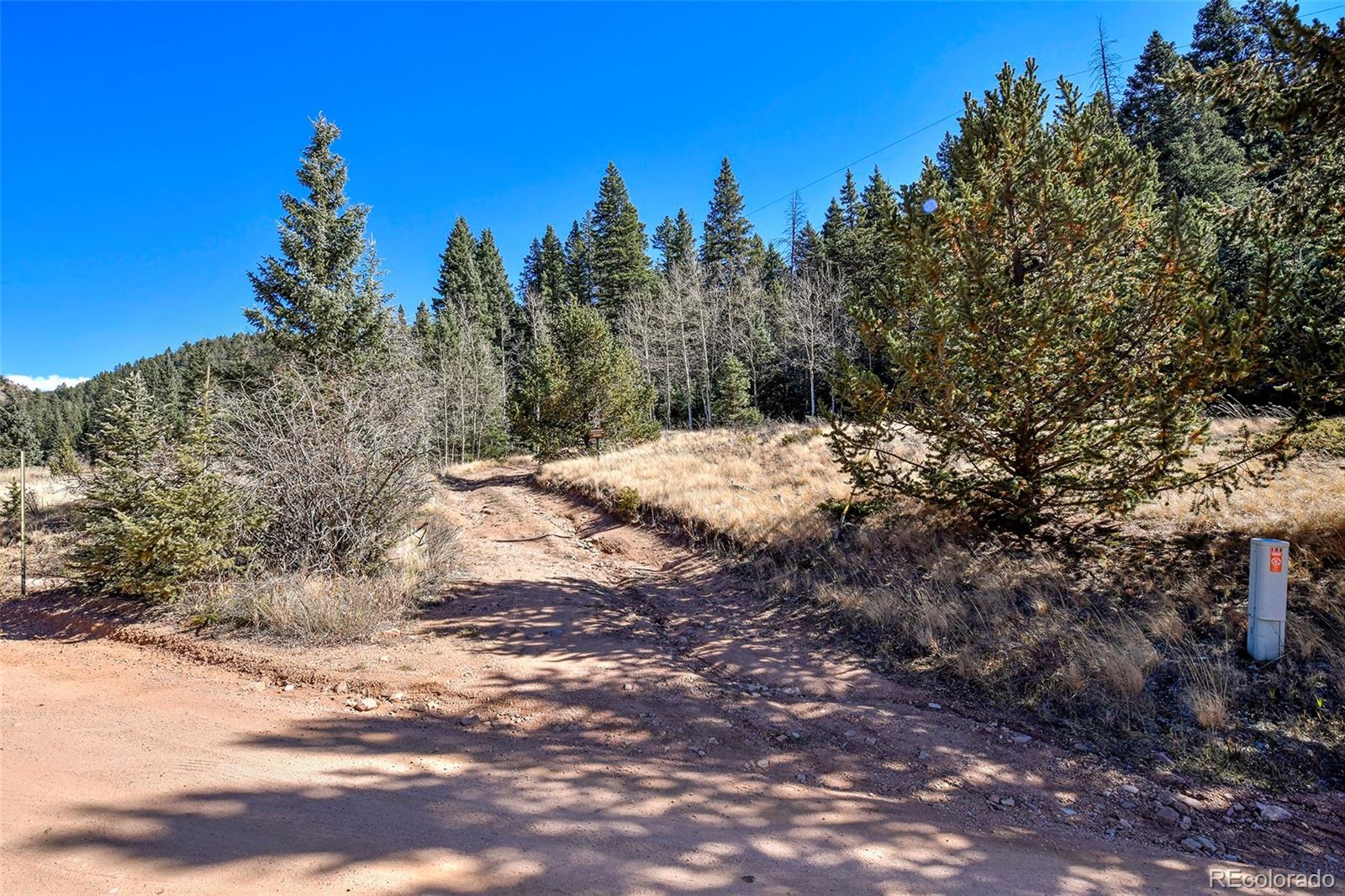 MLS Image #30 for 104  usfs ,divide, Colorado