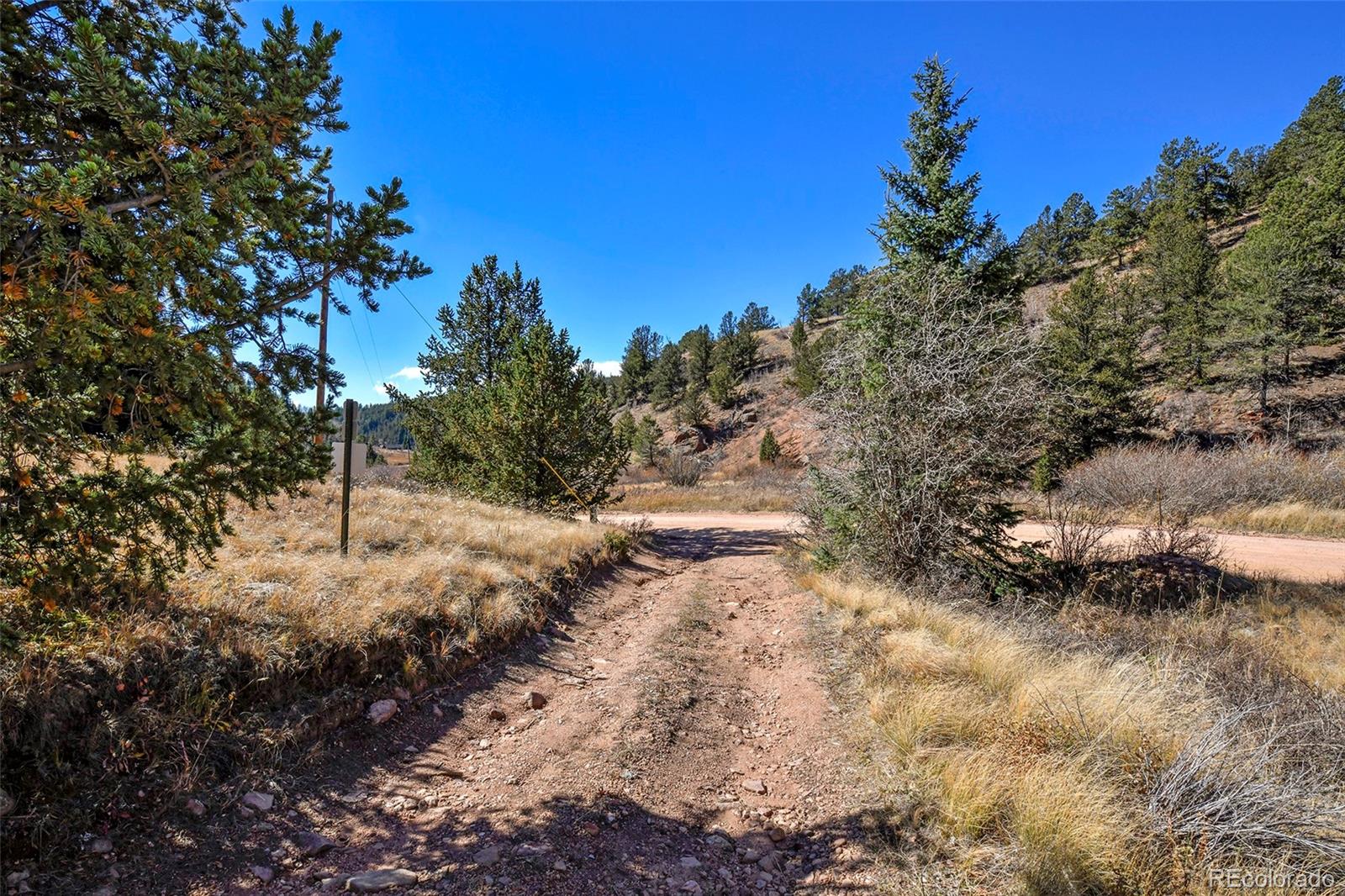 MLS Image #31 for 104  usfs ,divide, Colorado