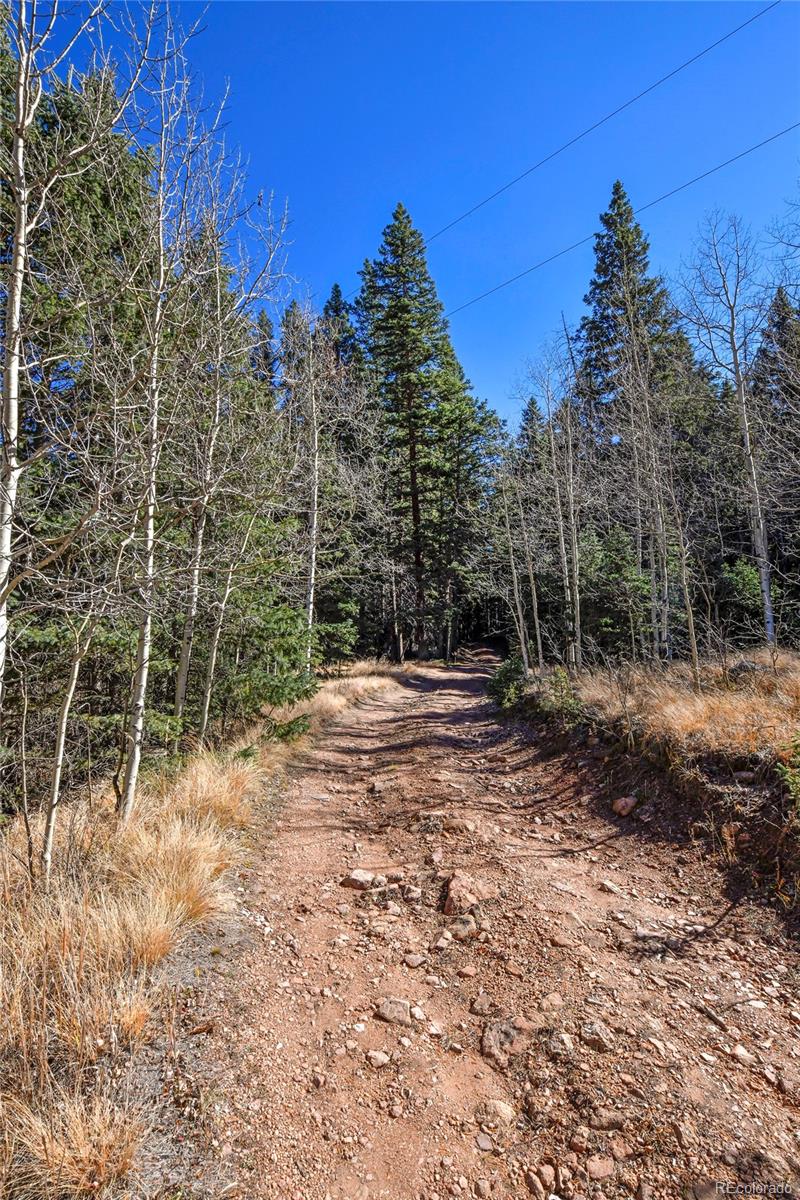 MLS Image #32 for 104  usfs ,divide, Colorado