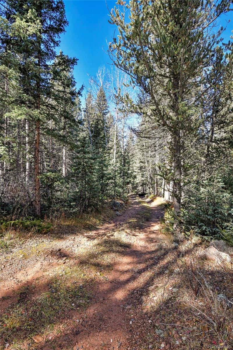 MLS Image #33 for 104  usfs ,divide, Colorado