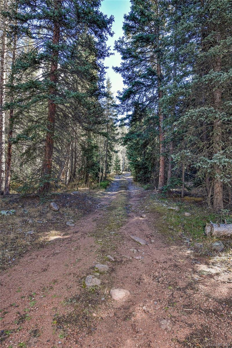 MLS Image #34 for 104  usfs ,divide, Colorado