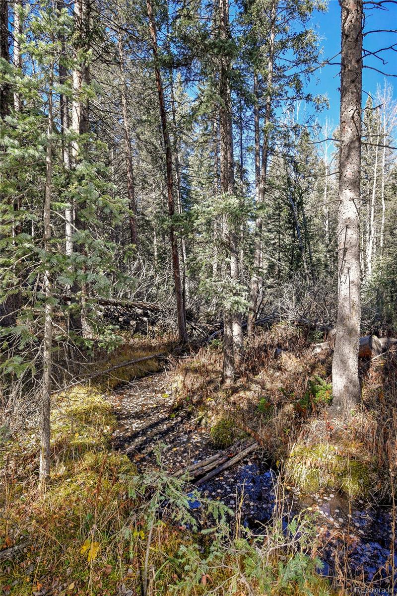MLS Image #35 for 104  usfs ,divide, Colorado