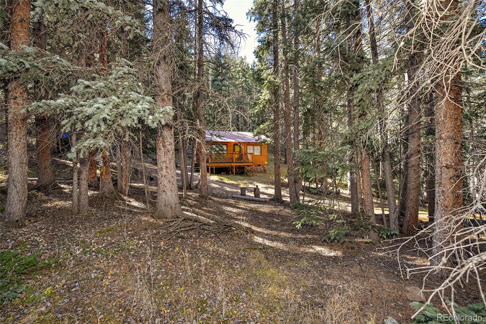 MLS Image #36 for 104  usfs ,divide, Colorado
