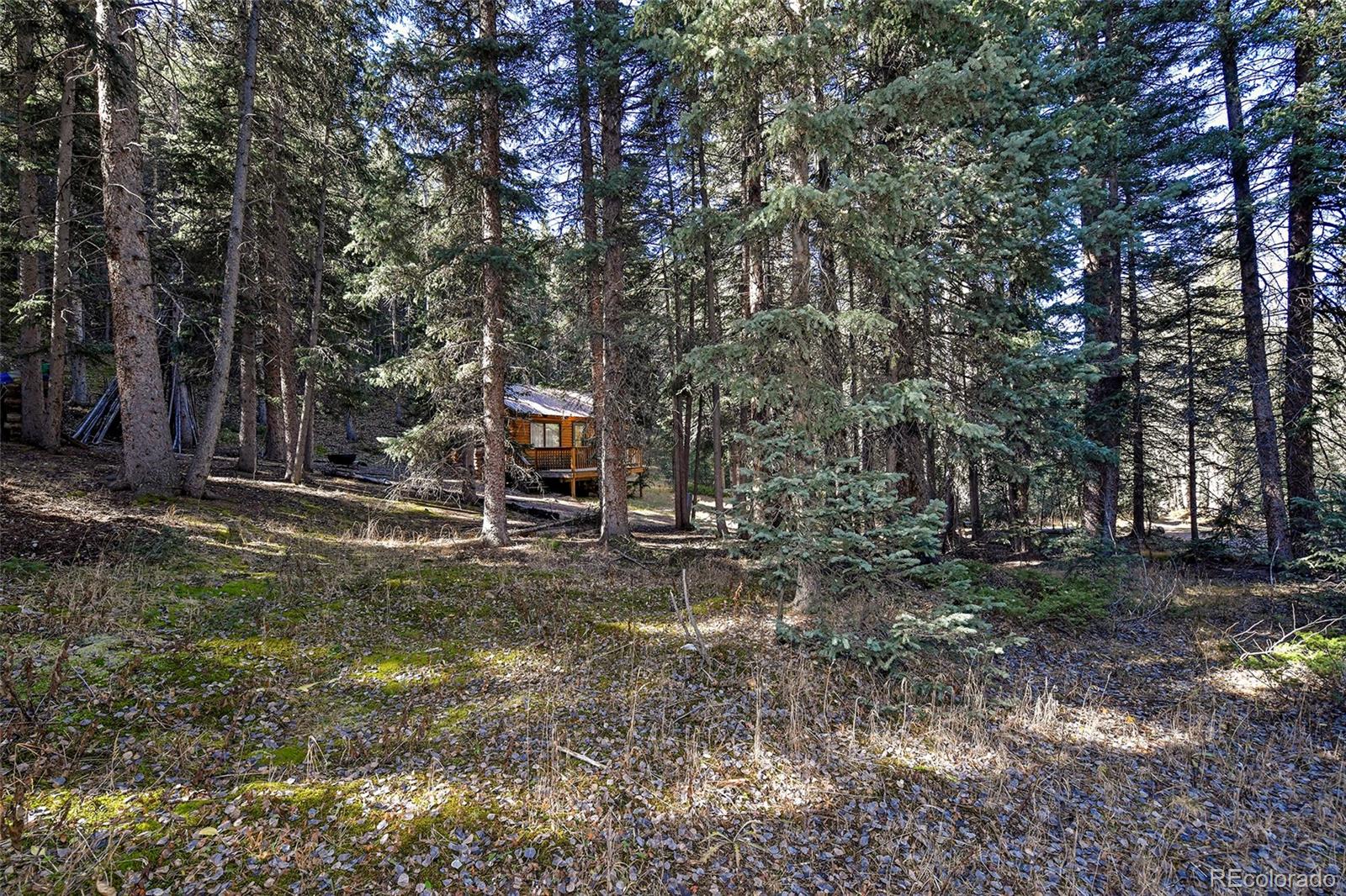 MLS Image #37 for 104  usfs ,divide, Colorado