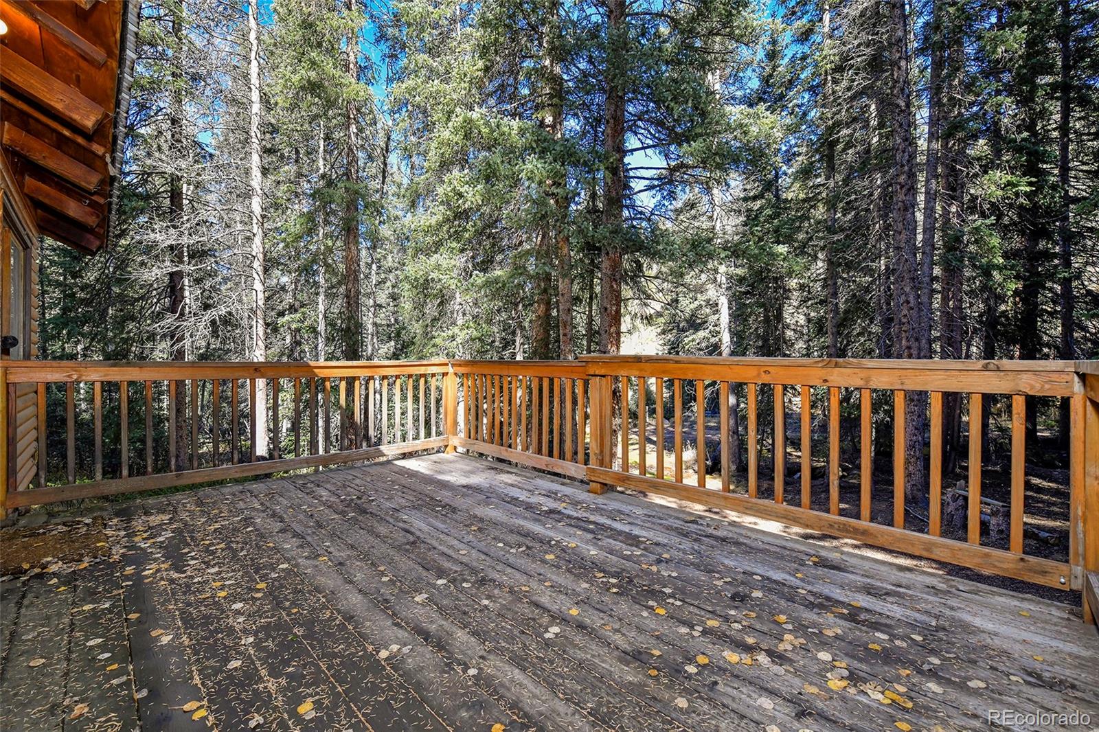 MLS Image #38 for 104  usfs ,divide, Colorado