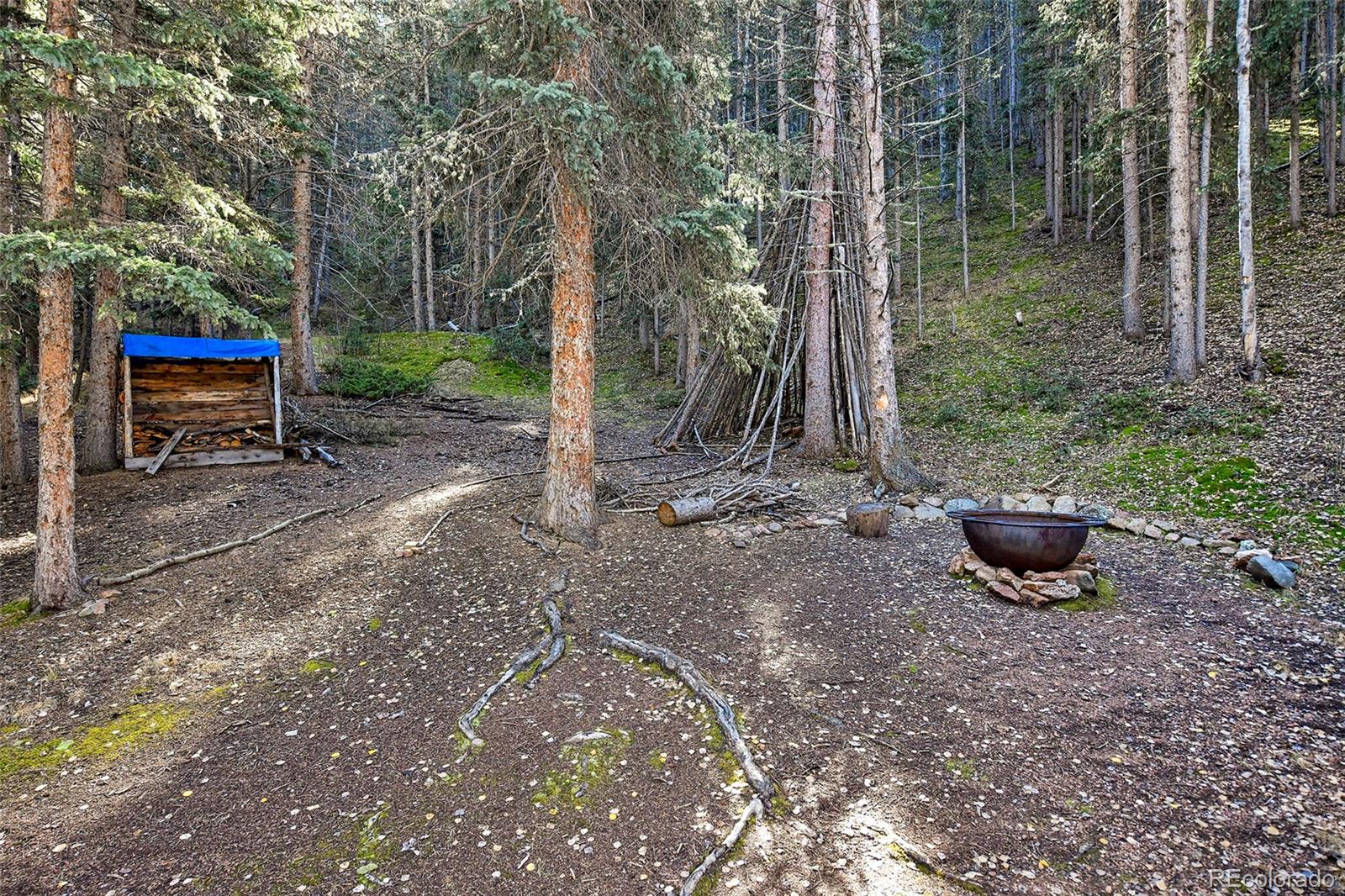 MLS Image #39 for 104  usfs ,divide, Colorado