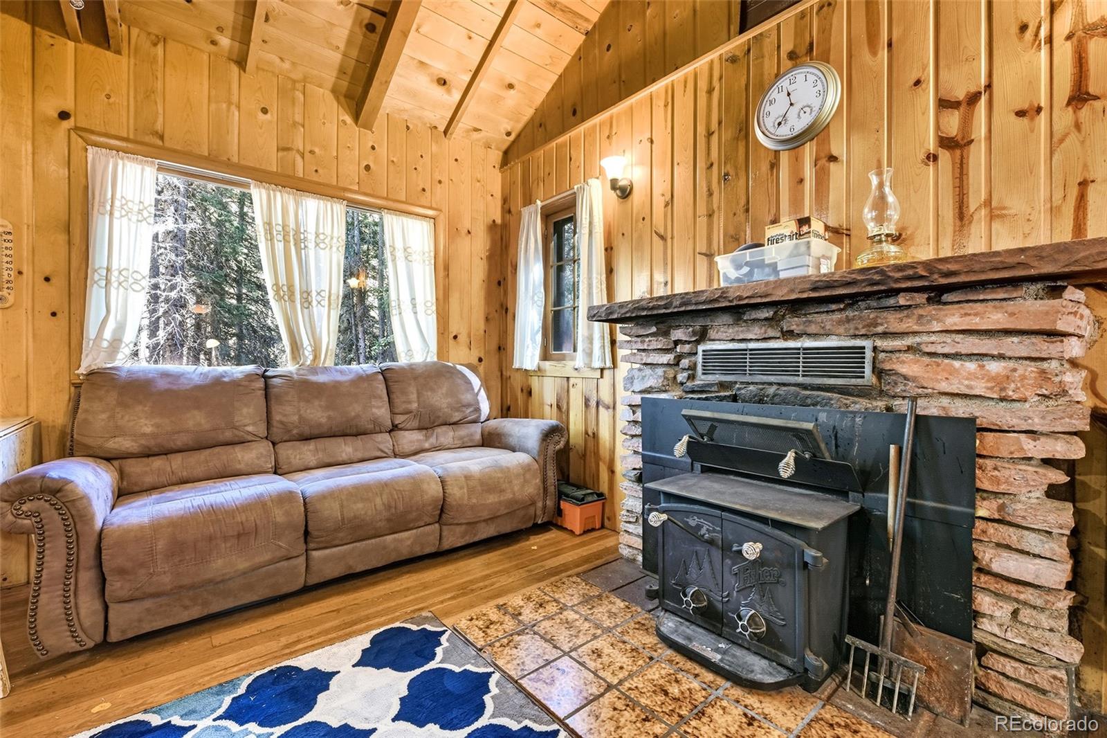 MLS Image #8 for 104  usfs ,divide, Colorado