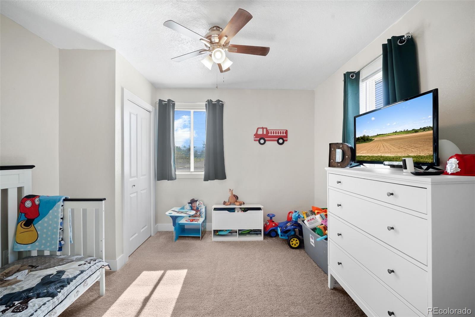 MLS Image #16 for 506  ash street,hudson, Colorado