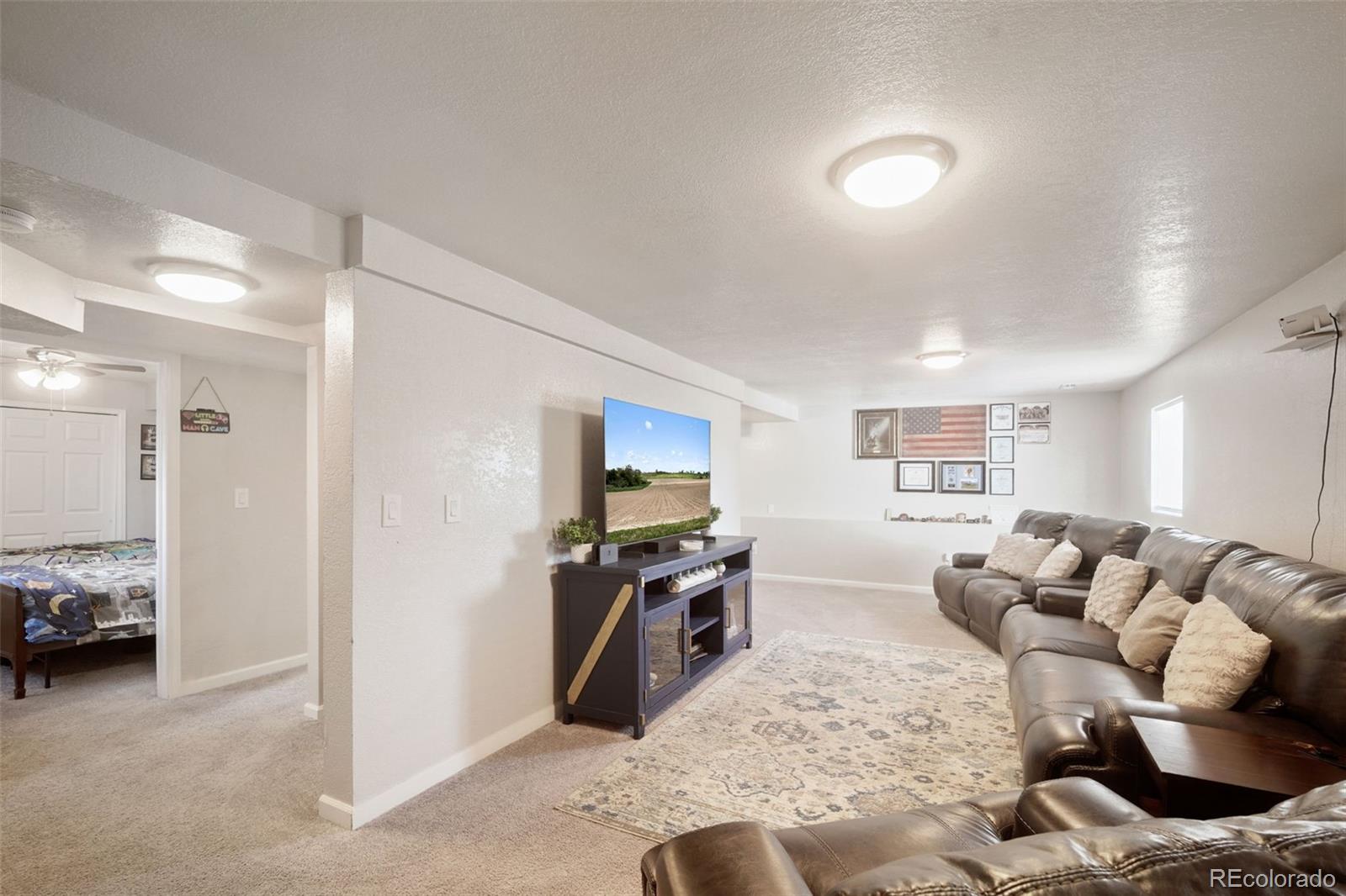 MLS Image #19 for 506  ash street,hudson, Colorado