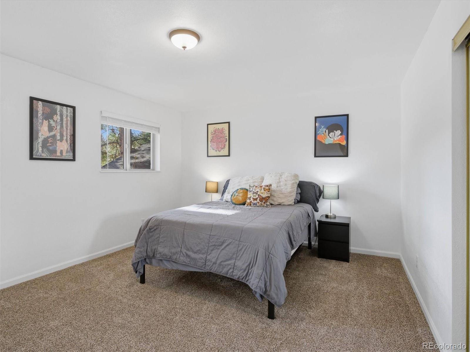 MLS Image #17 for 209  pine drive,bailey, Colorado
