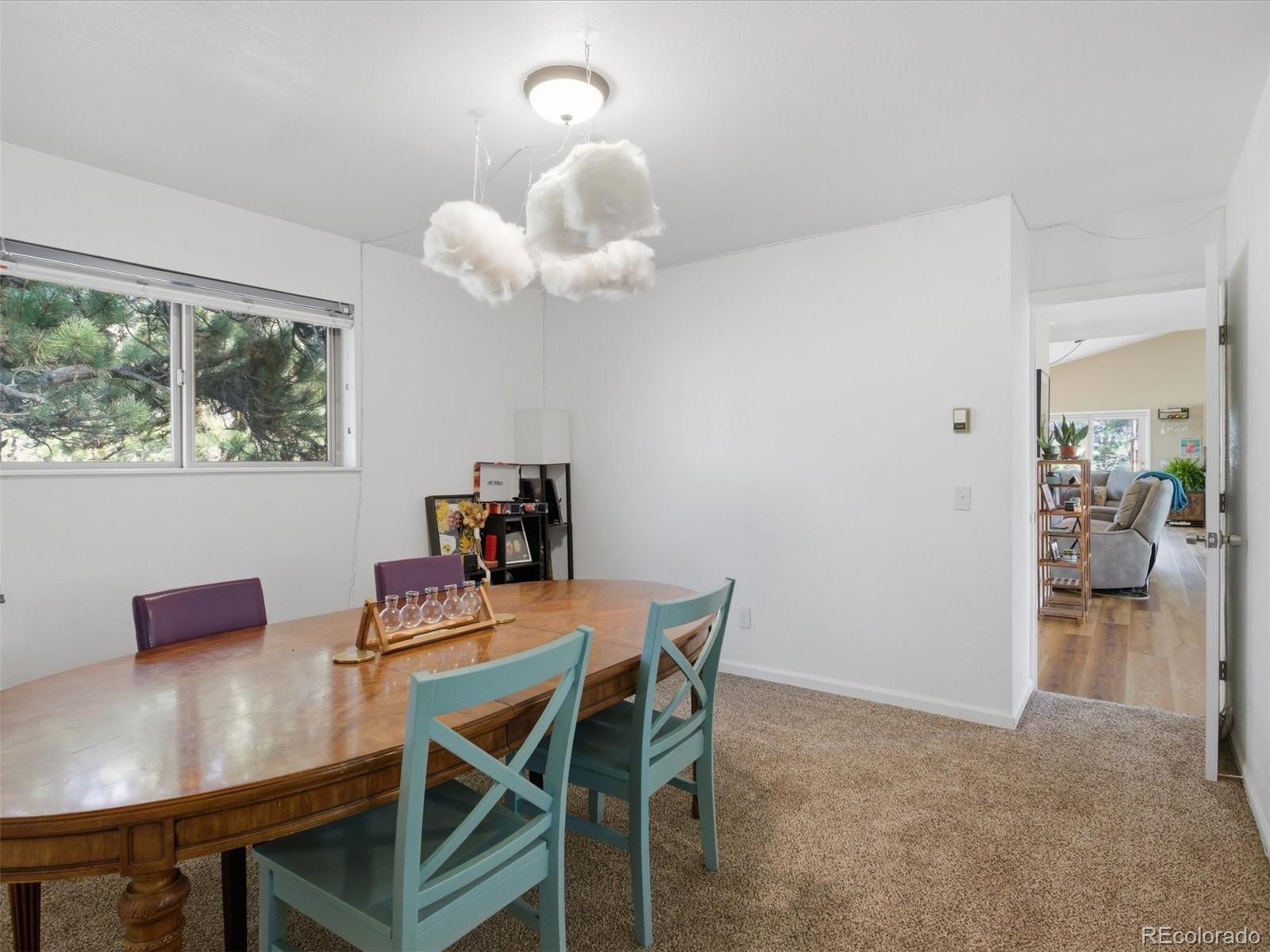 MLS Image #21 for 209  pine drive,bailey, Colorado