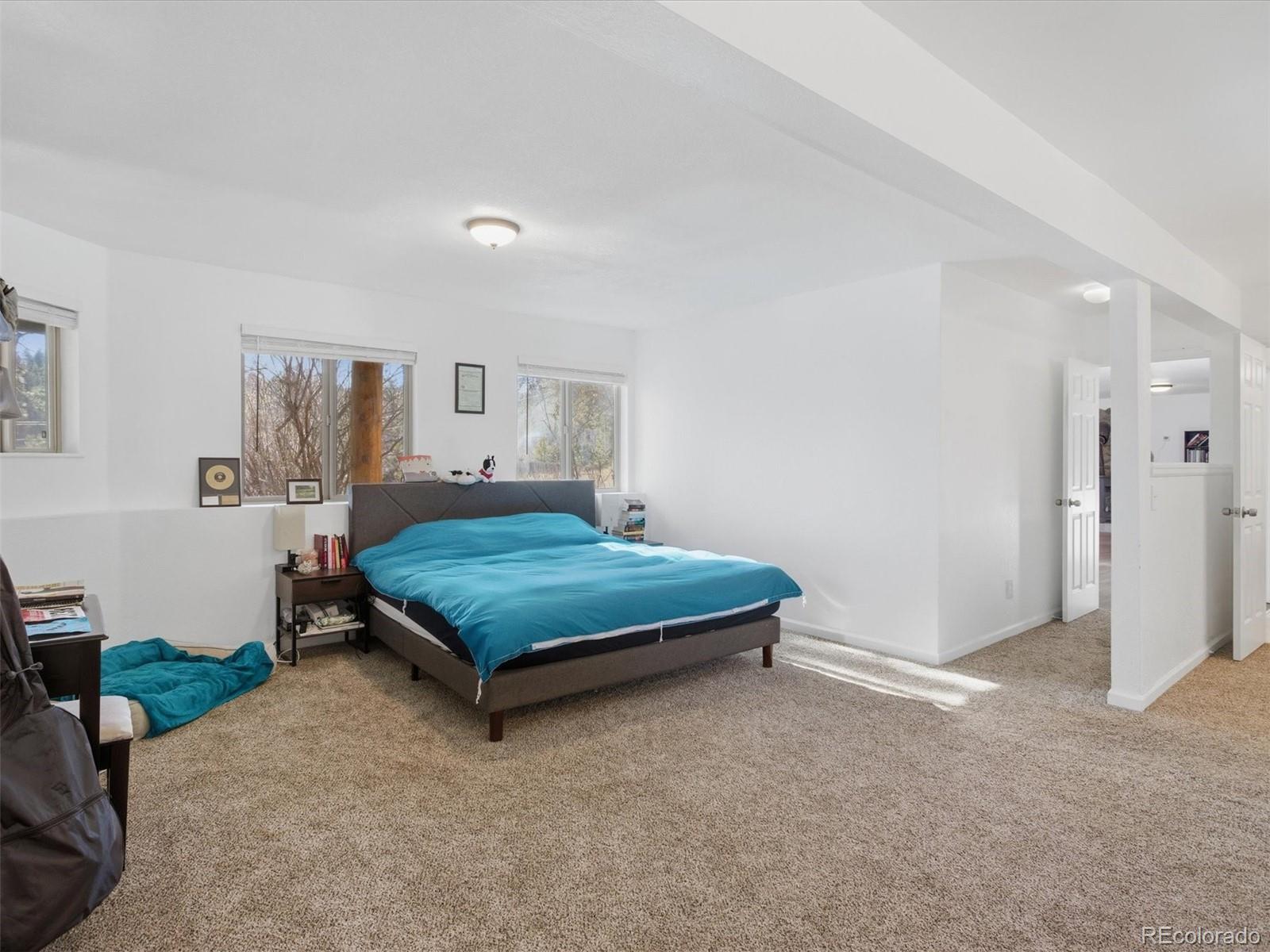 MLS Image #26 for 209  pine drive,bailey, Colorado
