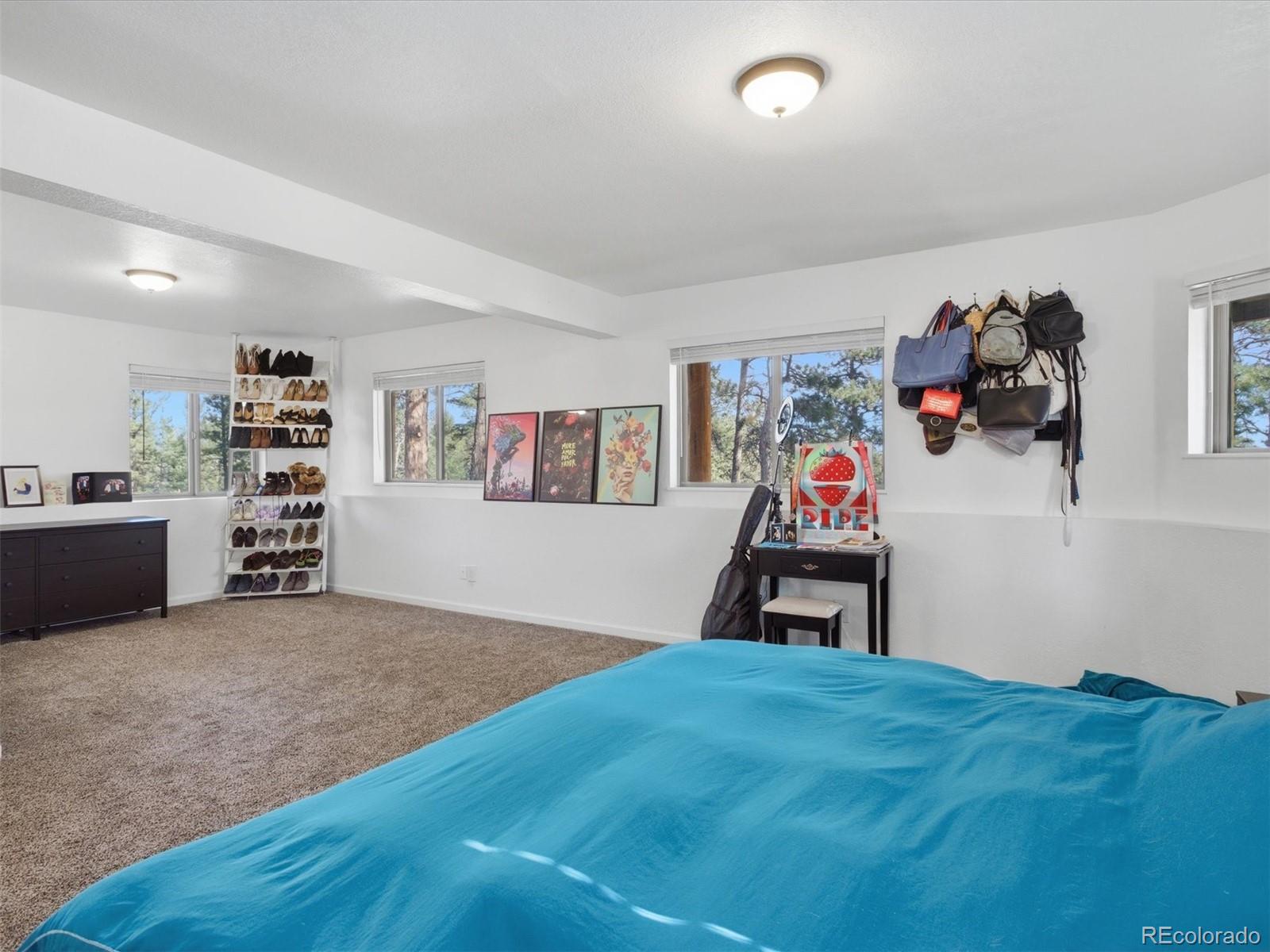 MLS Image #27 for 209  pine drive,bailey, Colorado