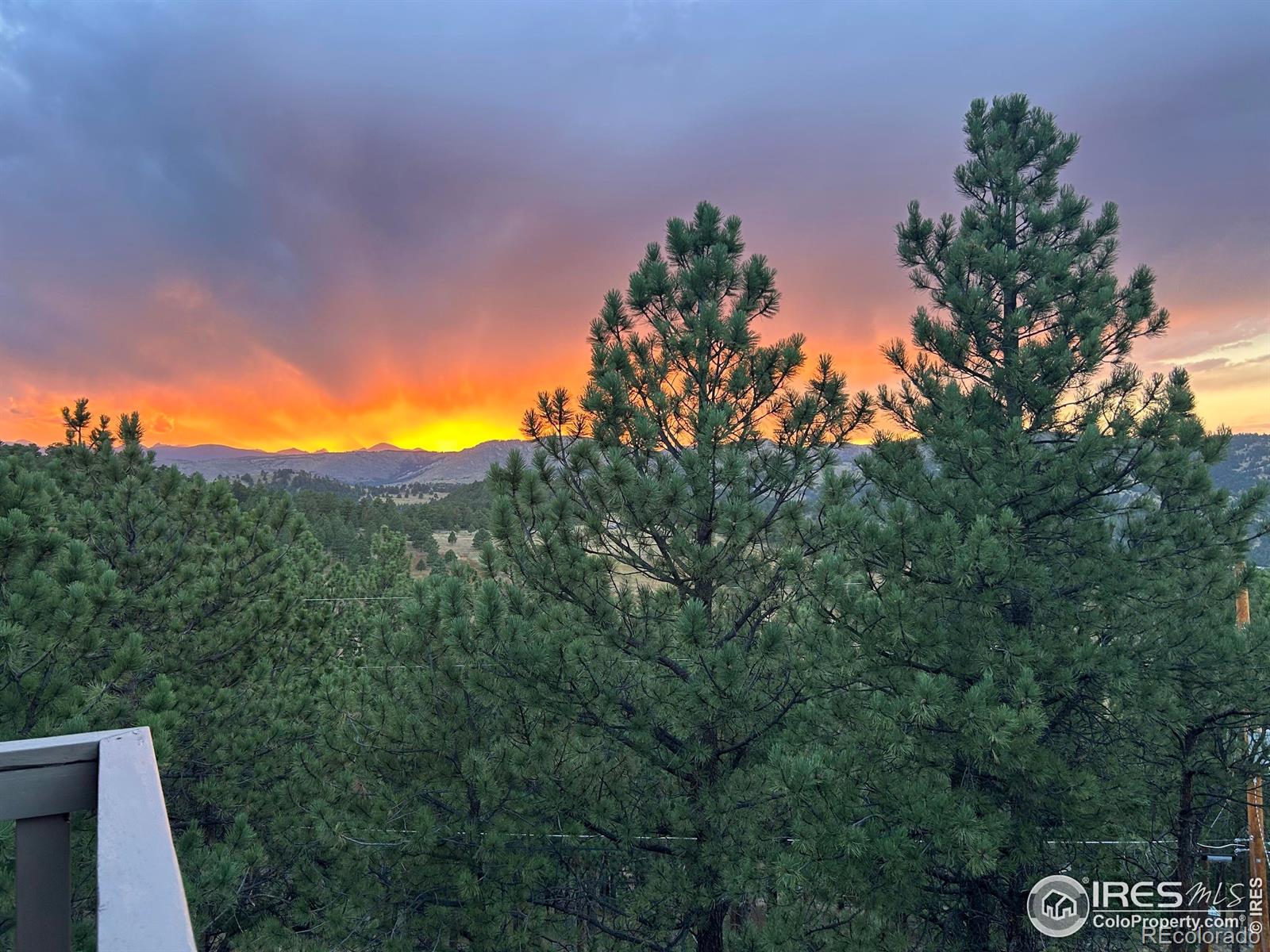 MLS Image #2 for 65  bristlecone way,boulder, Colorado