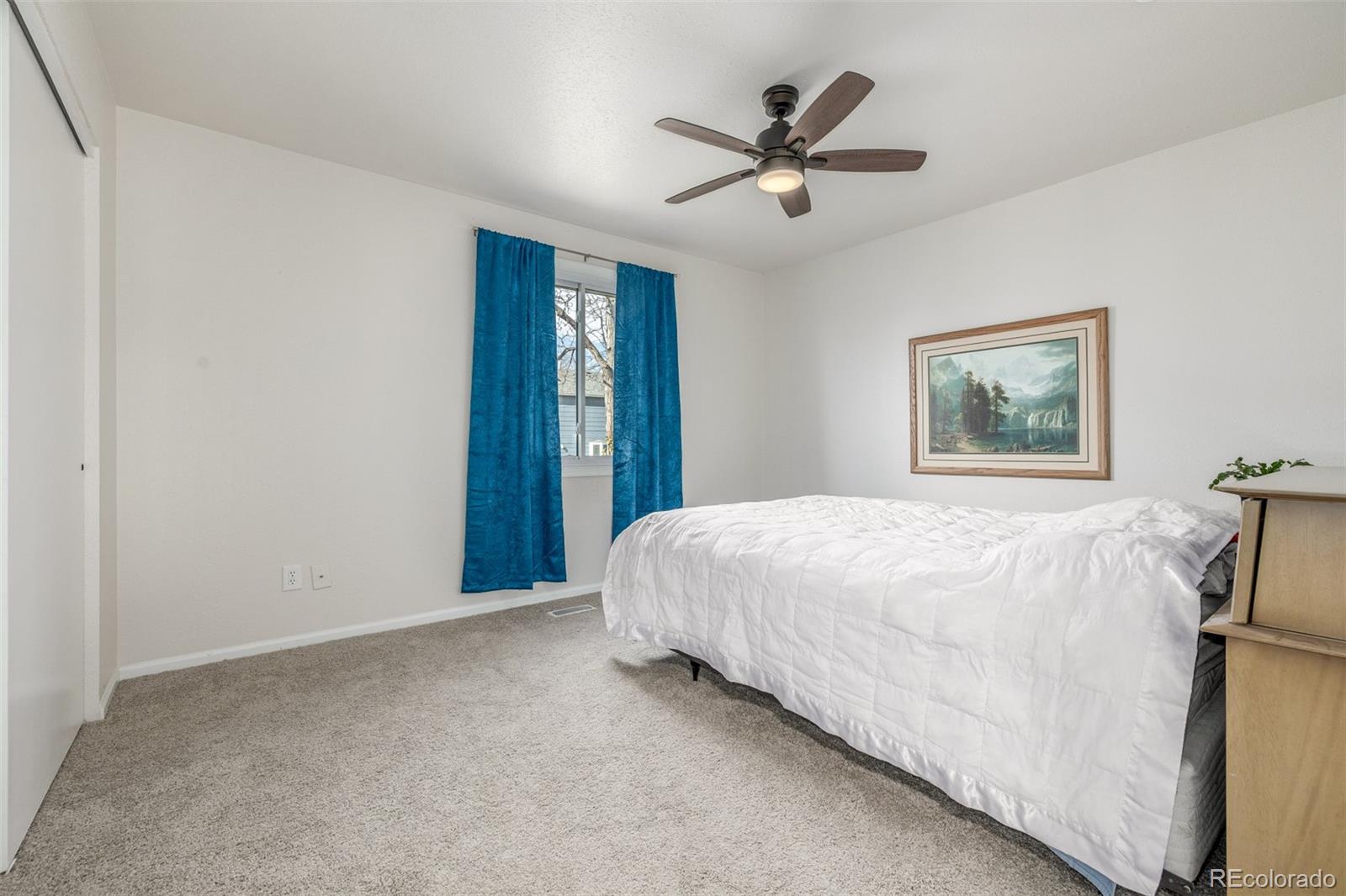 MLS Image #11 for 4115  balsa court,loveland, Colorado