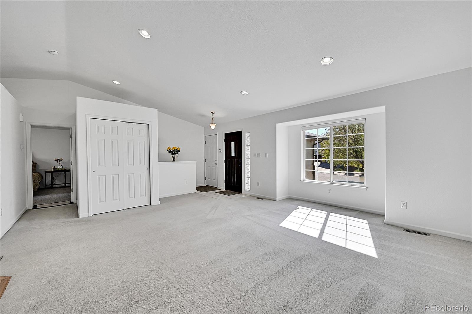 MLS Image #5 for 9  full moon court,pueblo, Colorado