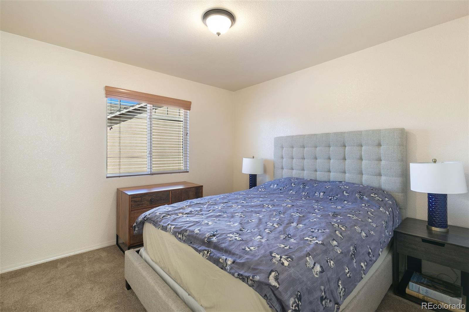 MLS Image #31 for 9533  newport plum court,colorado springs, Colorado