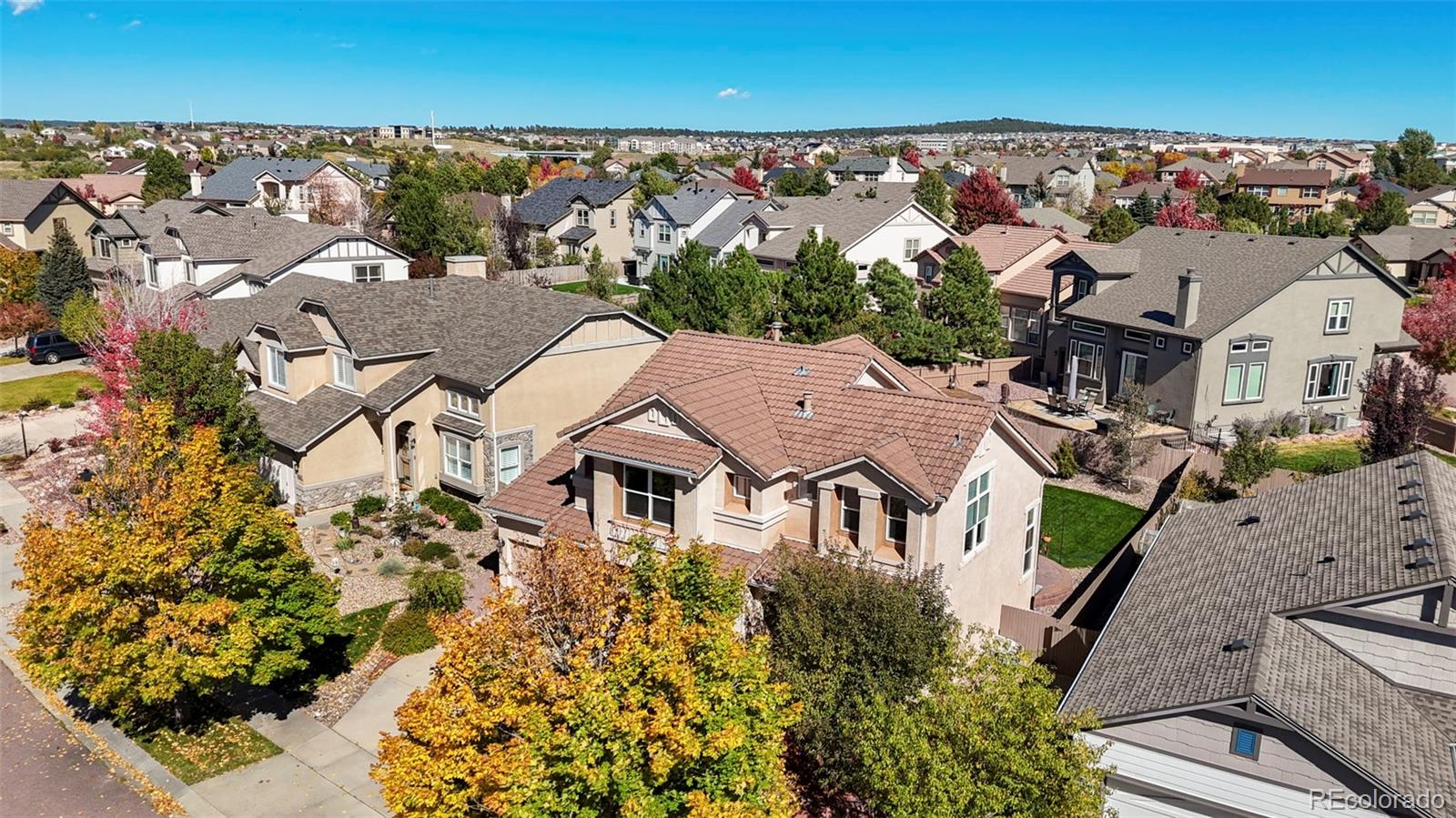 MLS Image #4 for 9533  newport plum court,colorado springs, Colorado