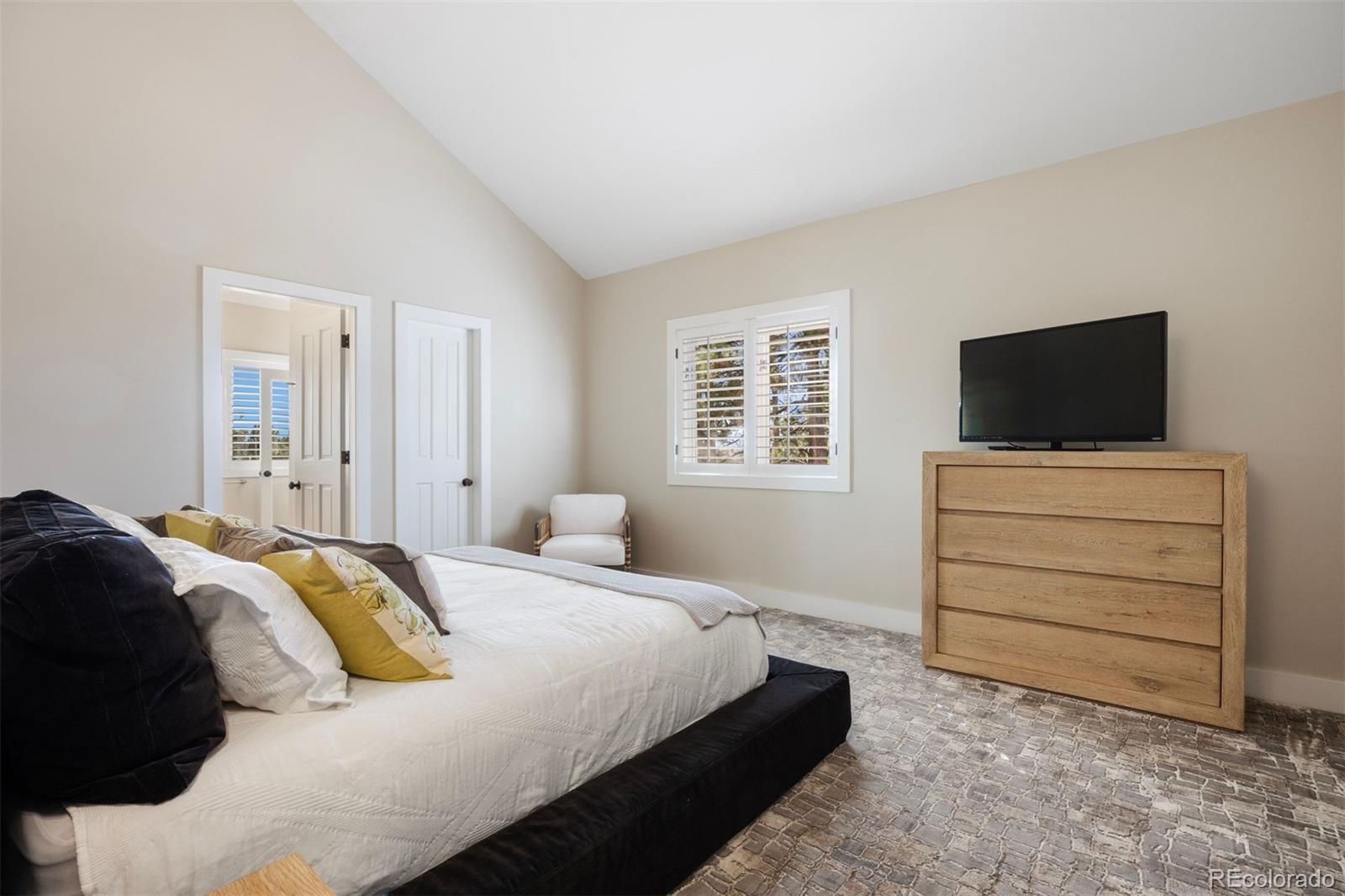 MLS Image #20 for 1009  hummingbird drive b2,castle rock, Colorado