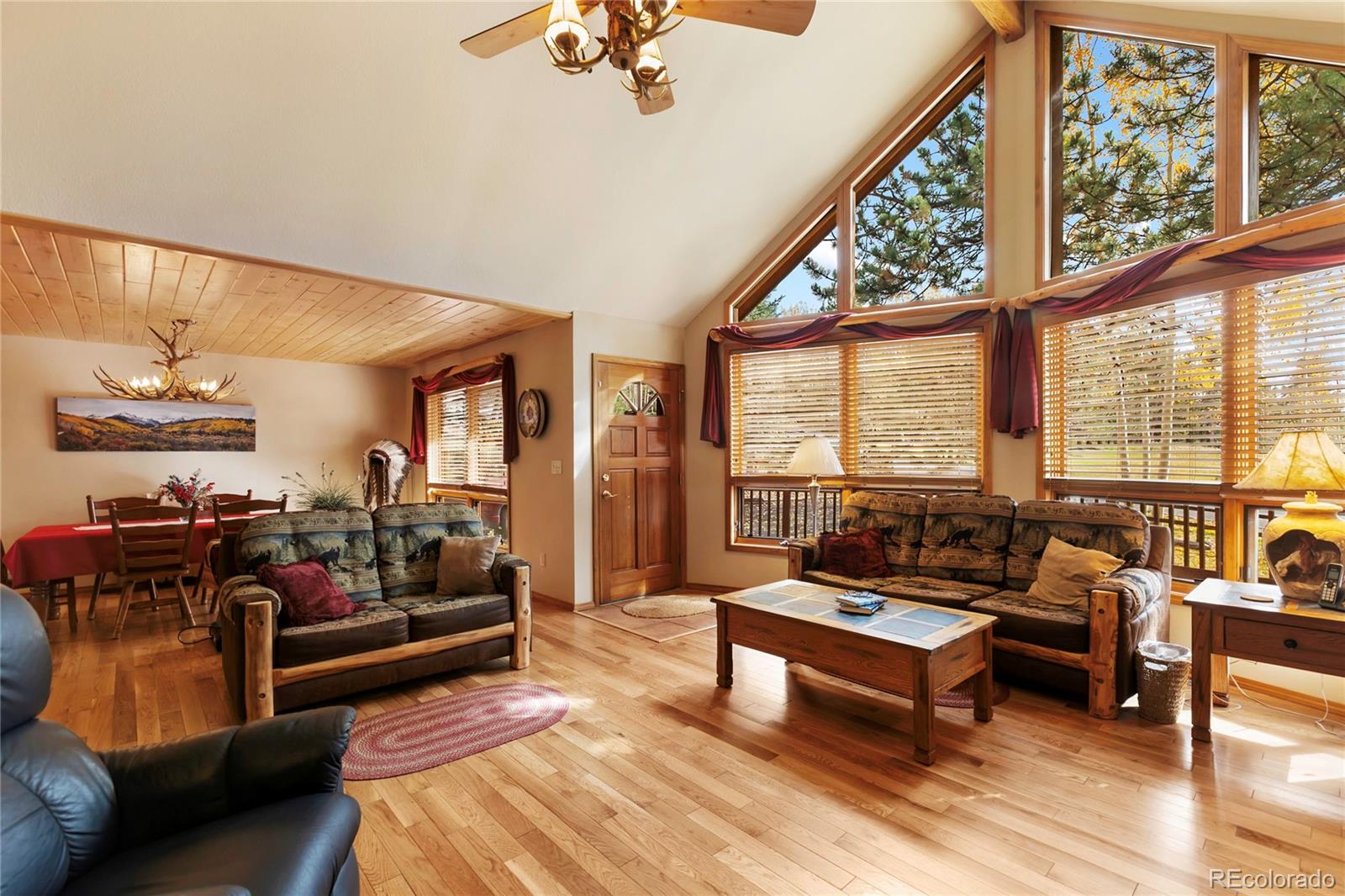 MLS Image #10 for 940 e kelleys road,woodland park, Colorado