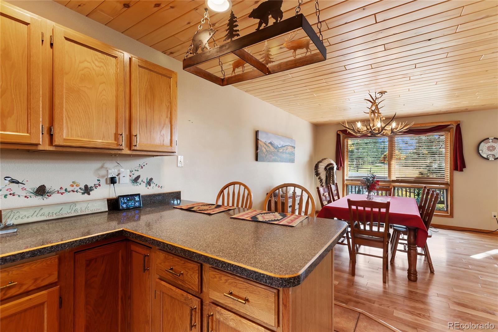 MLS Image #13 for 940 e kelleys road,woodland park, Colorado