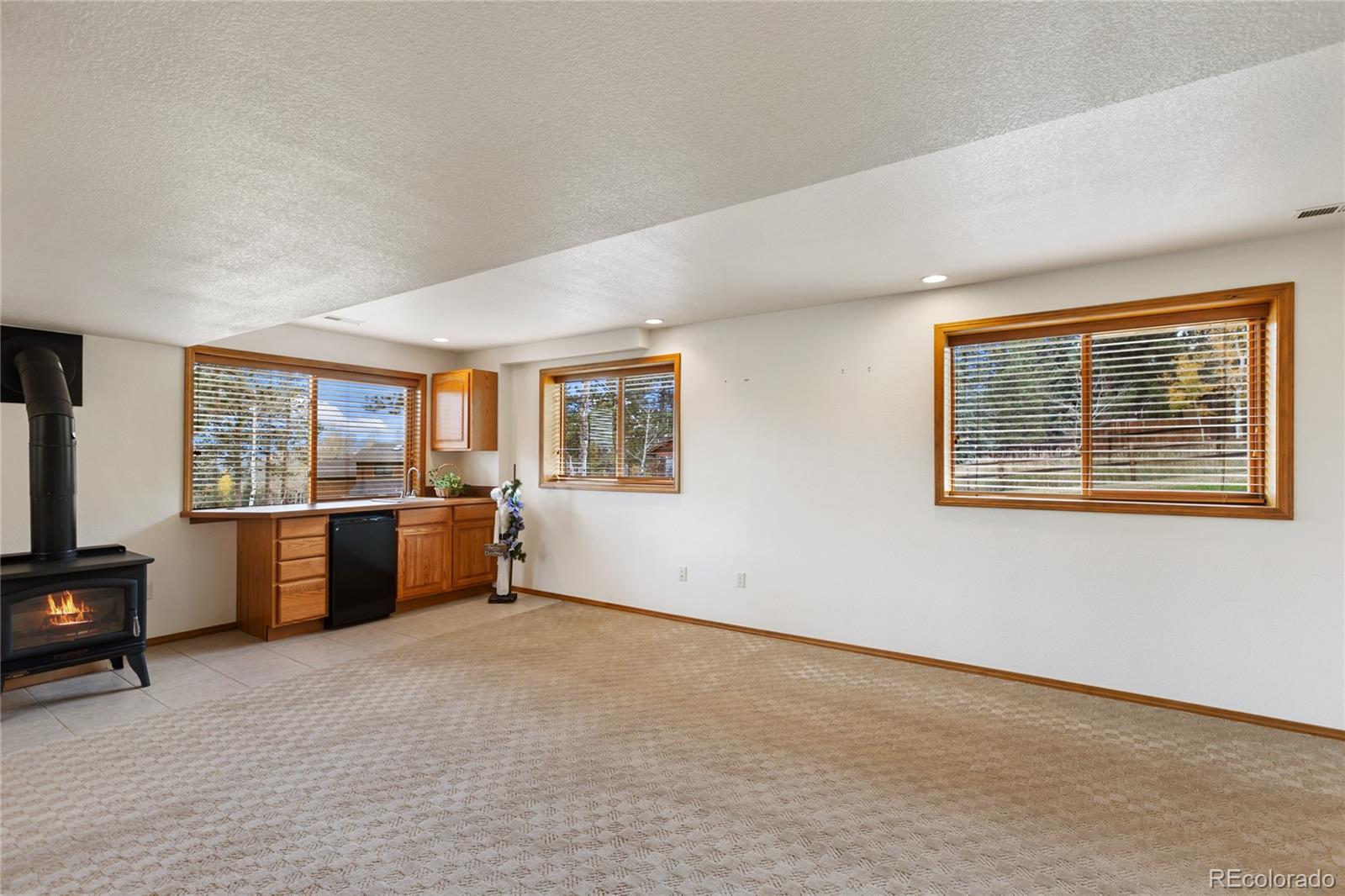 MLS Image #29 for 940 e kelleys road,woodland park, Colorado