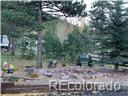 MLS Image #3 for 940 e kelleys road,woodland park, Colorado