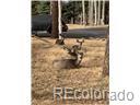 MLS Image #38 for 940 e kelleys road,woodland park, Colorado