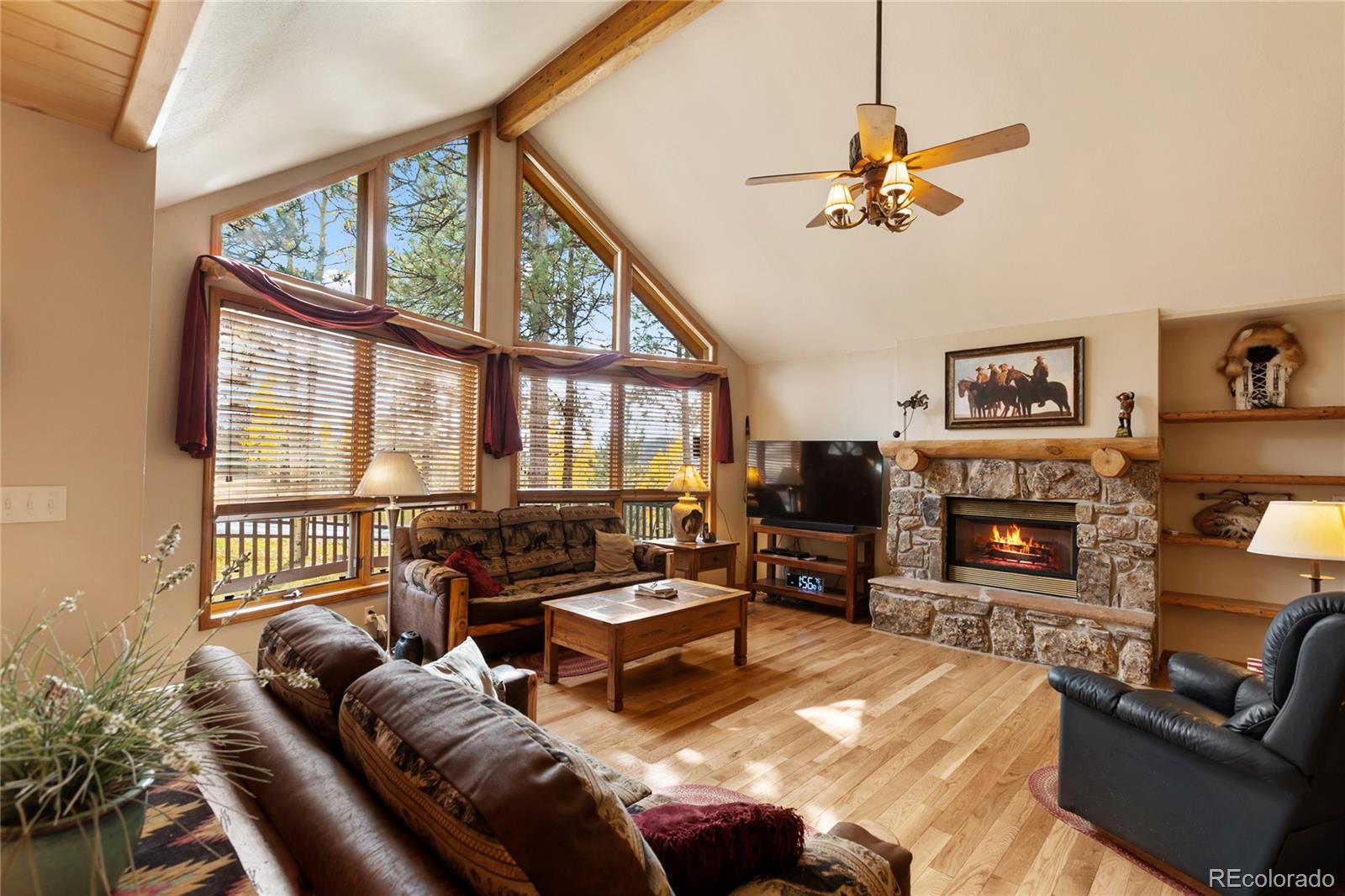 MLS Image #7 for 940 e kelleys road,woodland park, Colorado