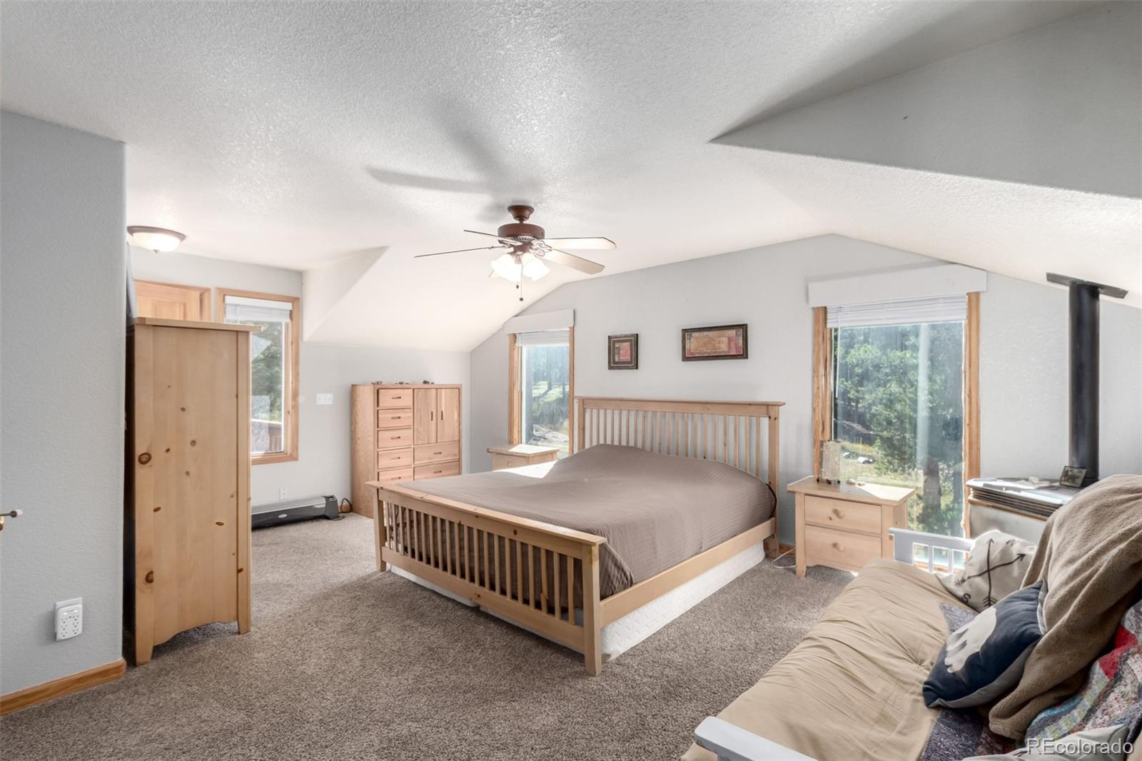 MLS Image #11 for 7593  cr 68 ,bailey, Colorado