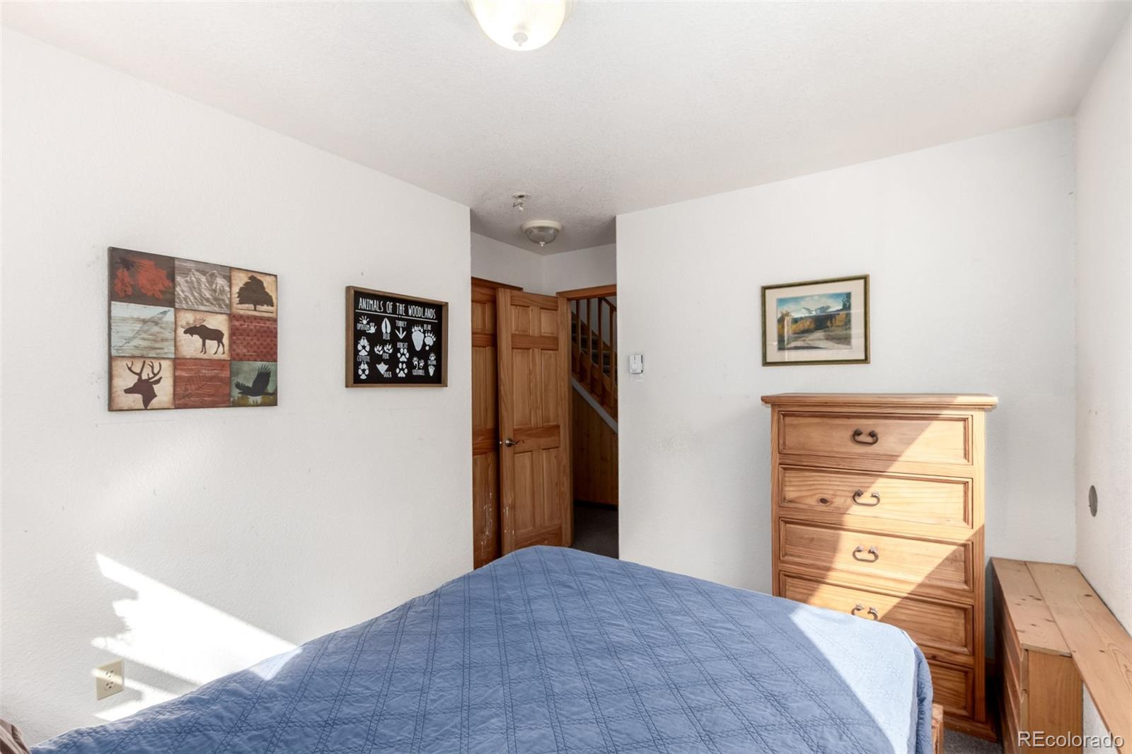 MLS Image #17 for 7593  cr 68 ,bailey, Colorado