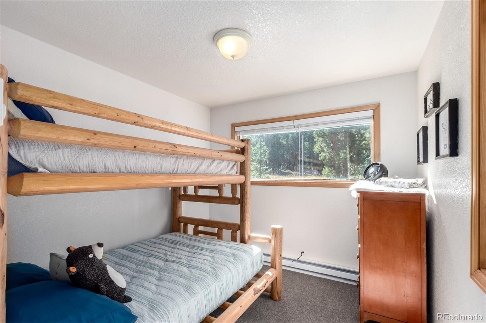 MLS Image #18 for 7593  cr 68 ,bailey, Colorado