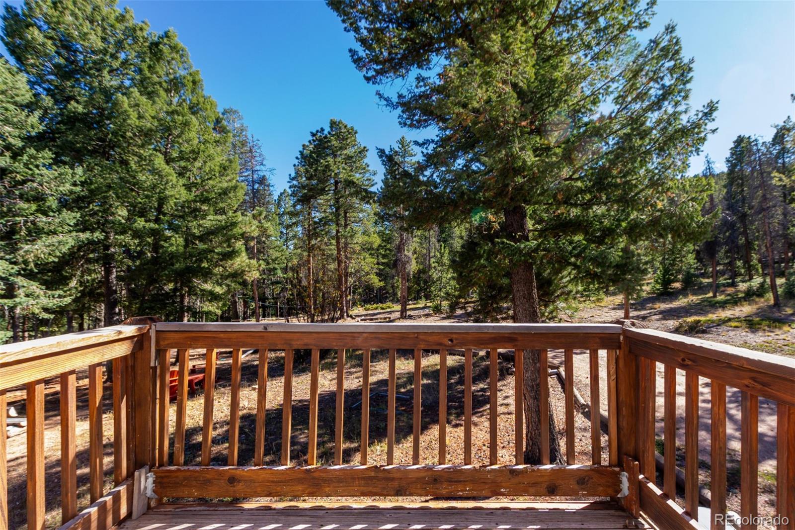 MLS Image #25 for 7593  cr 68 ,bailey, Colorado
